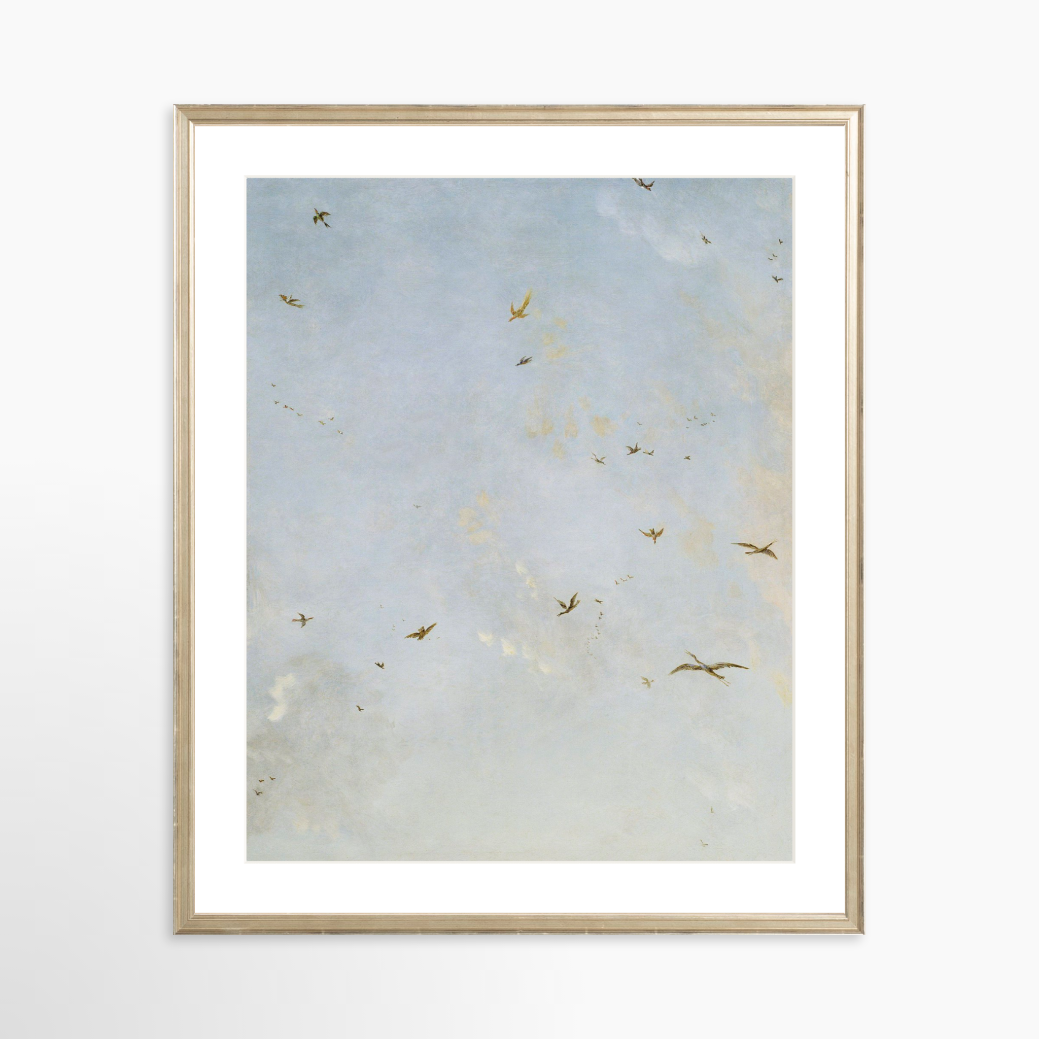 20x25 / Certificate Silver Frame + White Mat