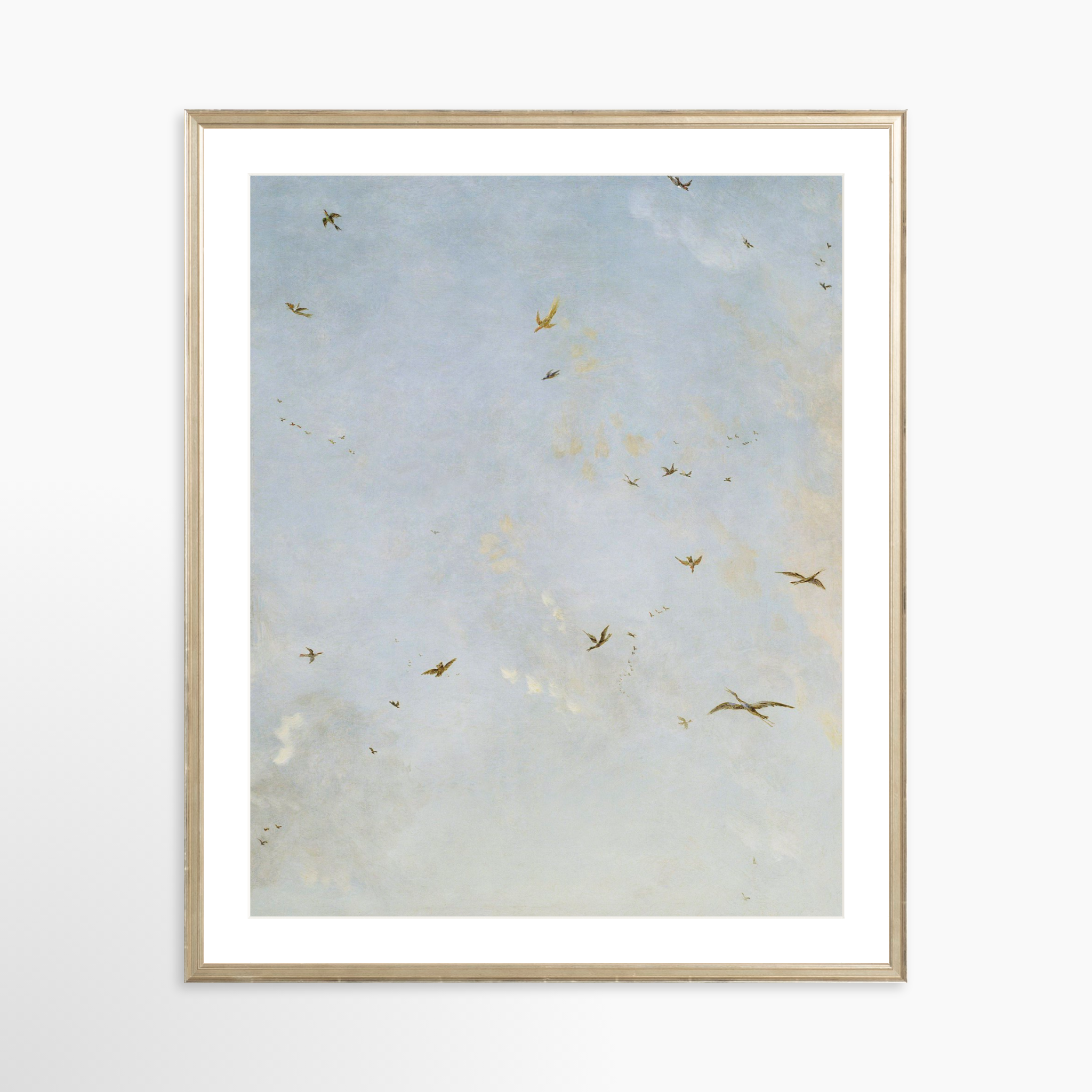 24x30 / Certificate Silver Frame + White Mat