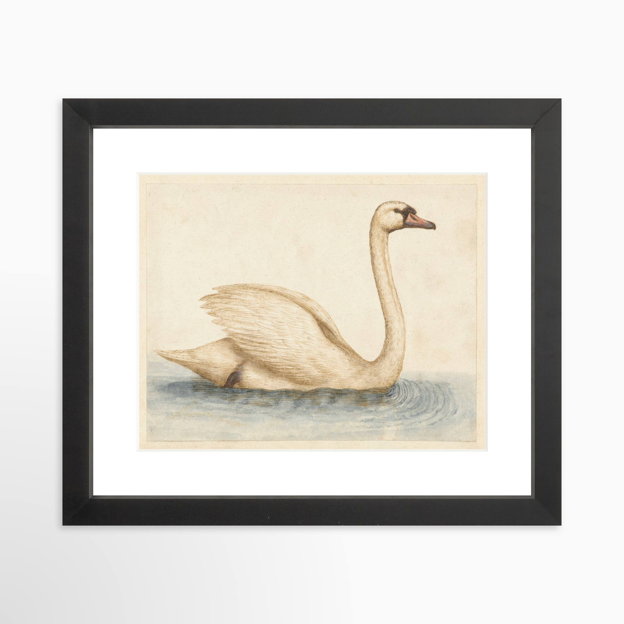 10x8 / Black Frame + White Mat