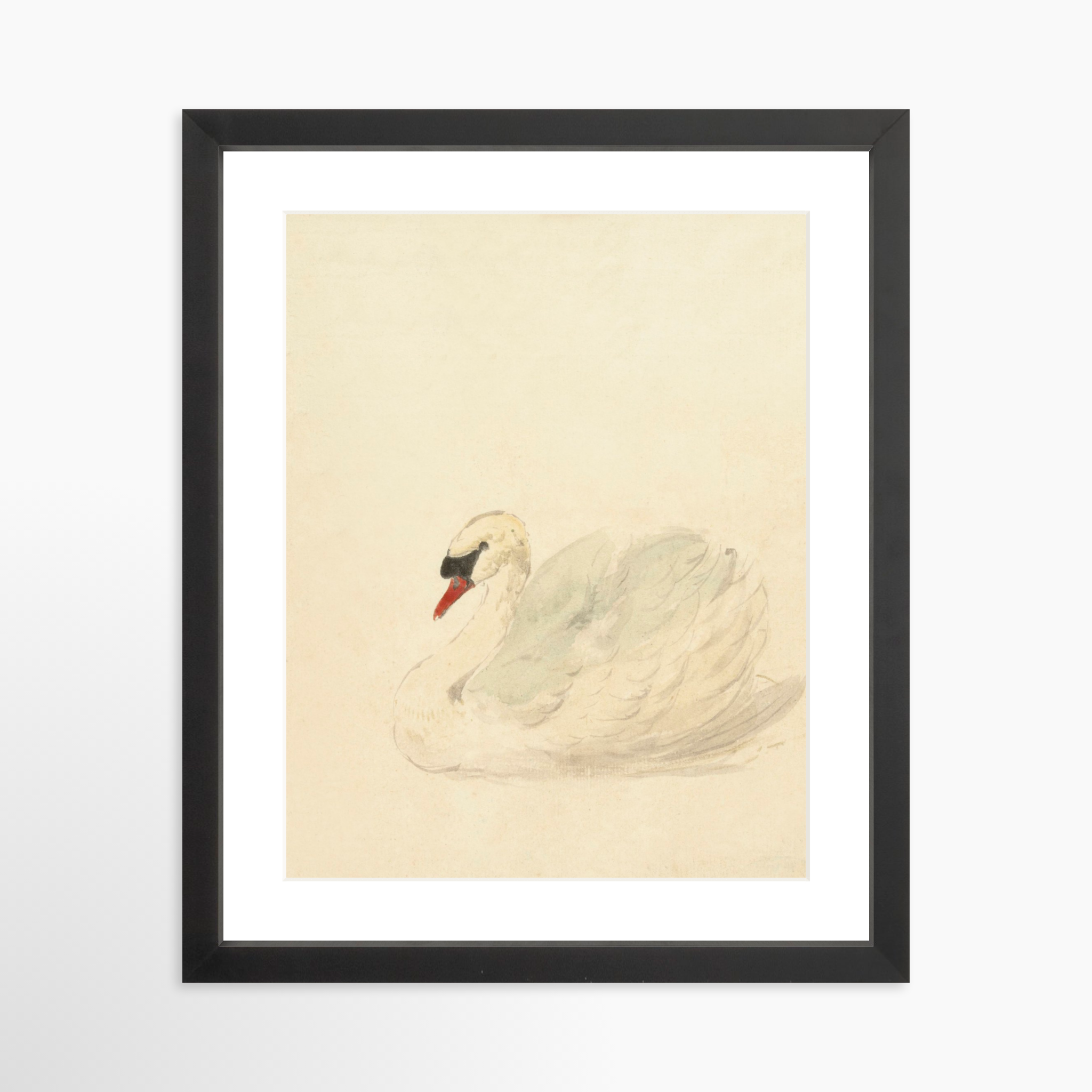 11x14 / Black Frame + White Mat