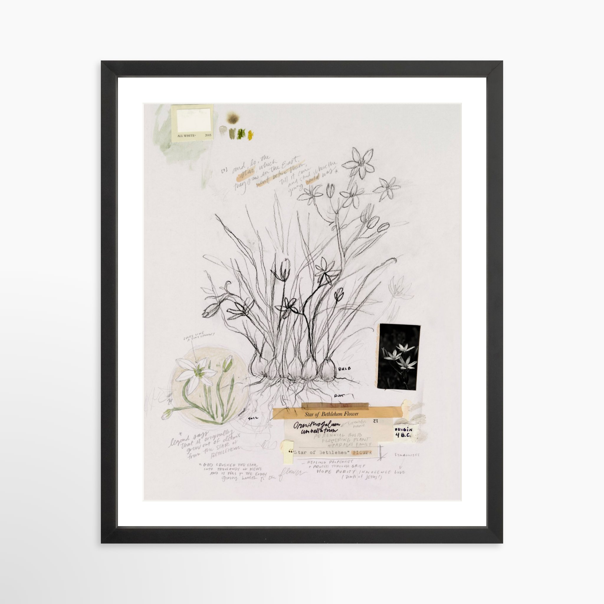 16x20 / Black Frame + White Mat