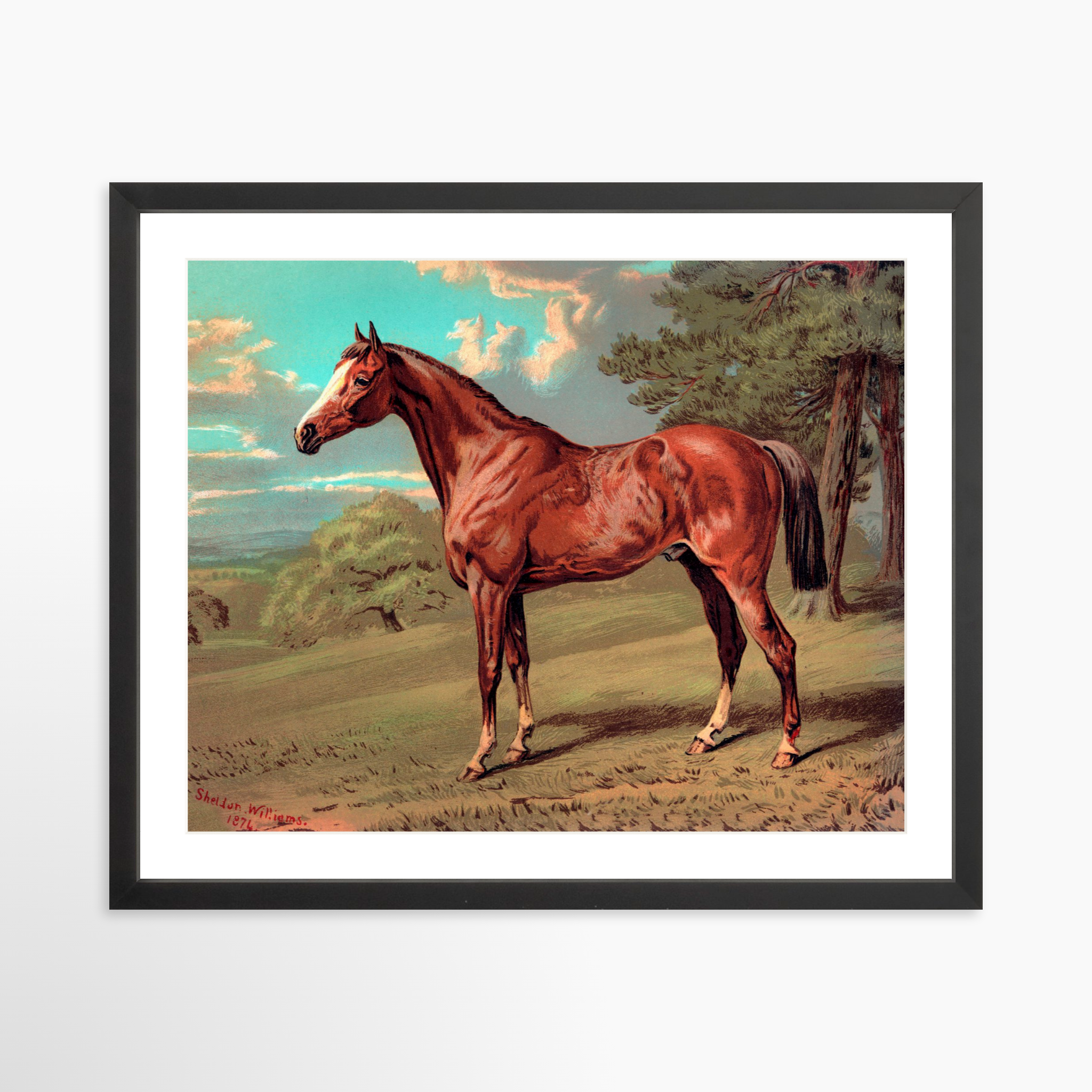 20x16 / Black Frame + White Mat
