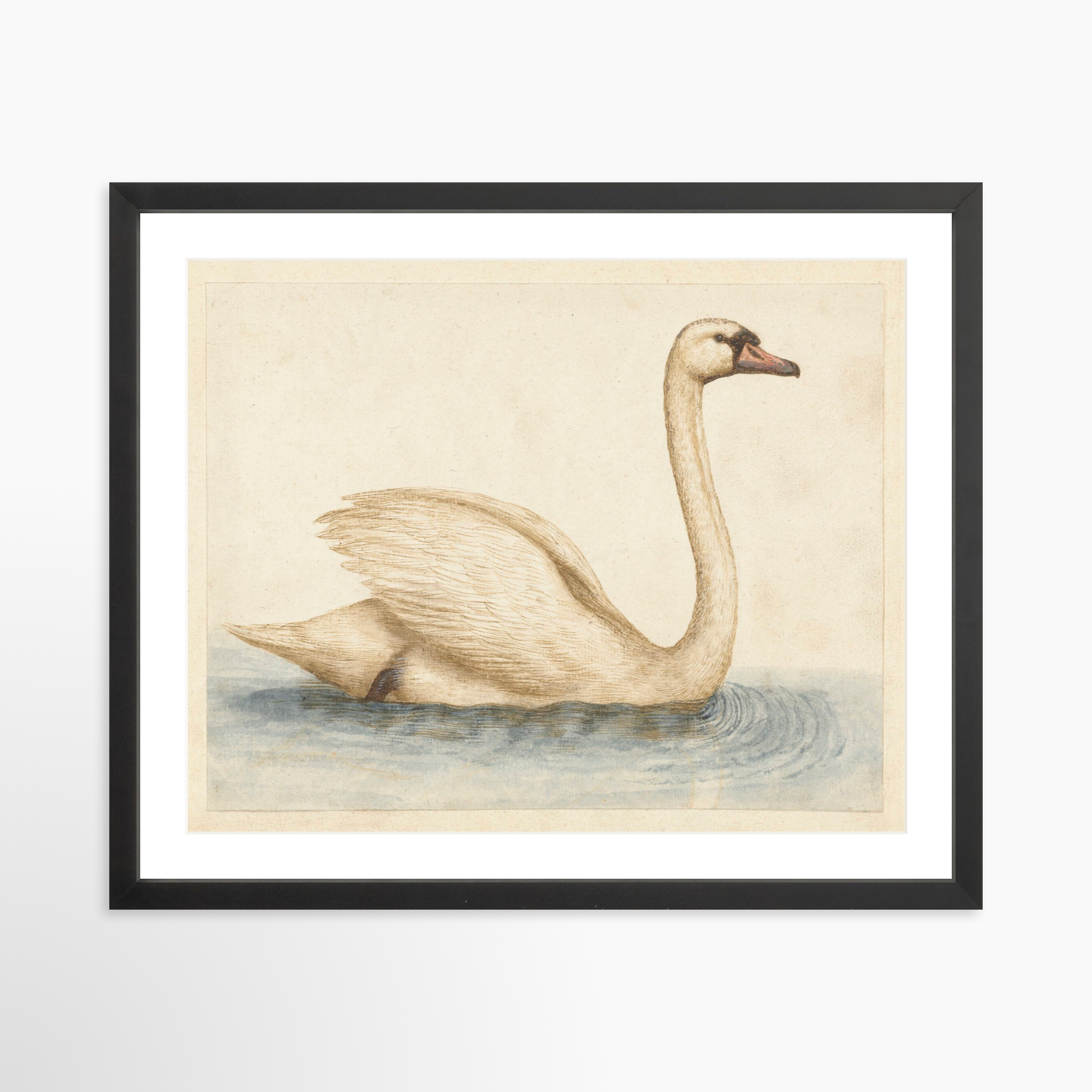 20x16 / Black Frame + White Mat