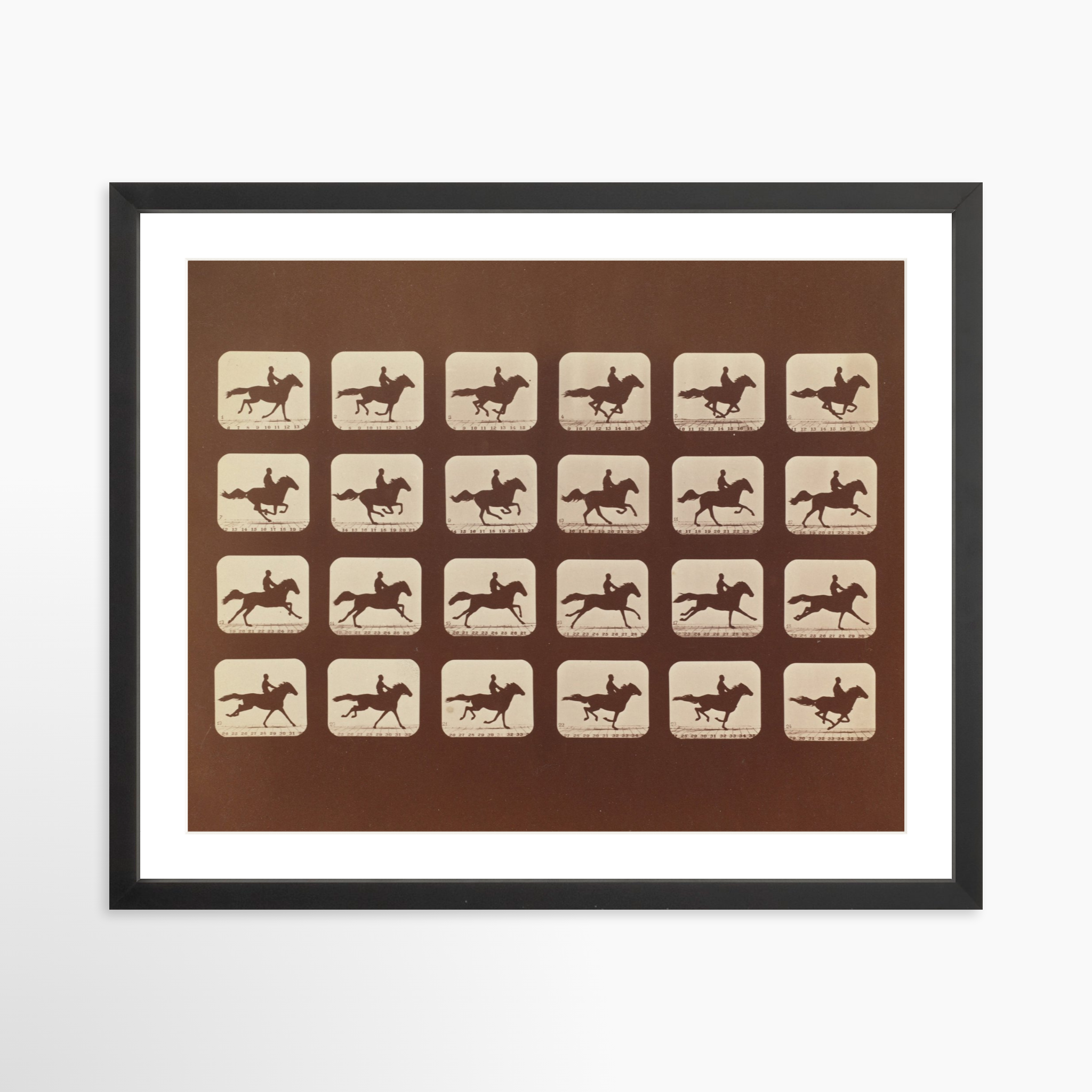 20x16 / Black Frame + White Mat