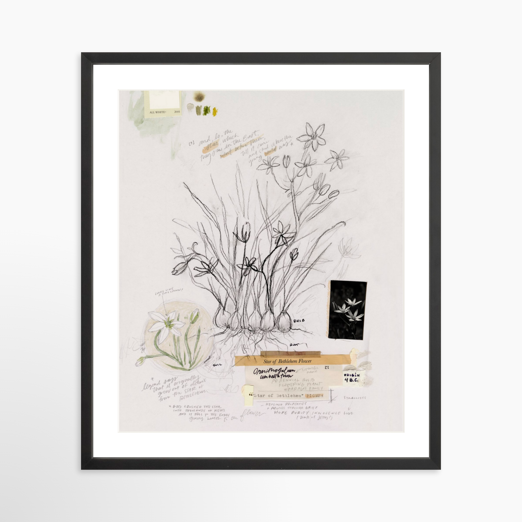 20x25 / Black Frame + White Mat