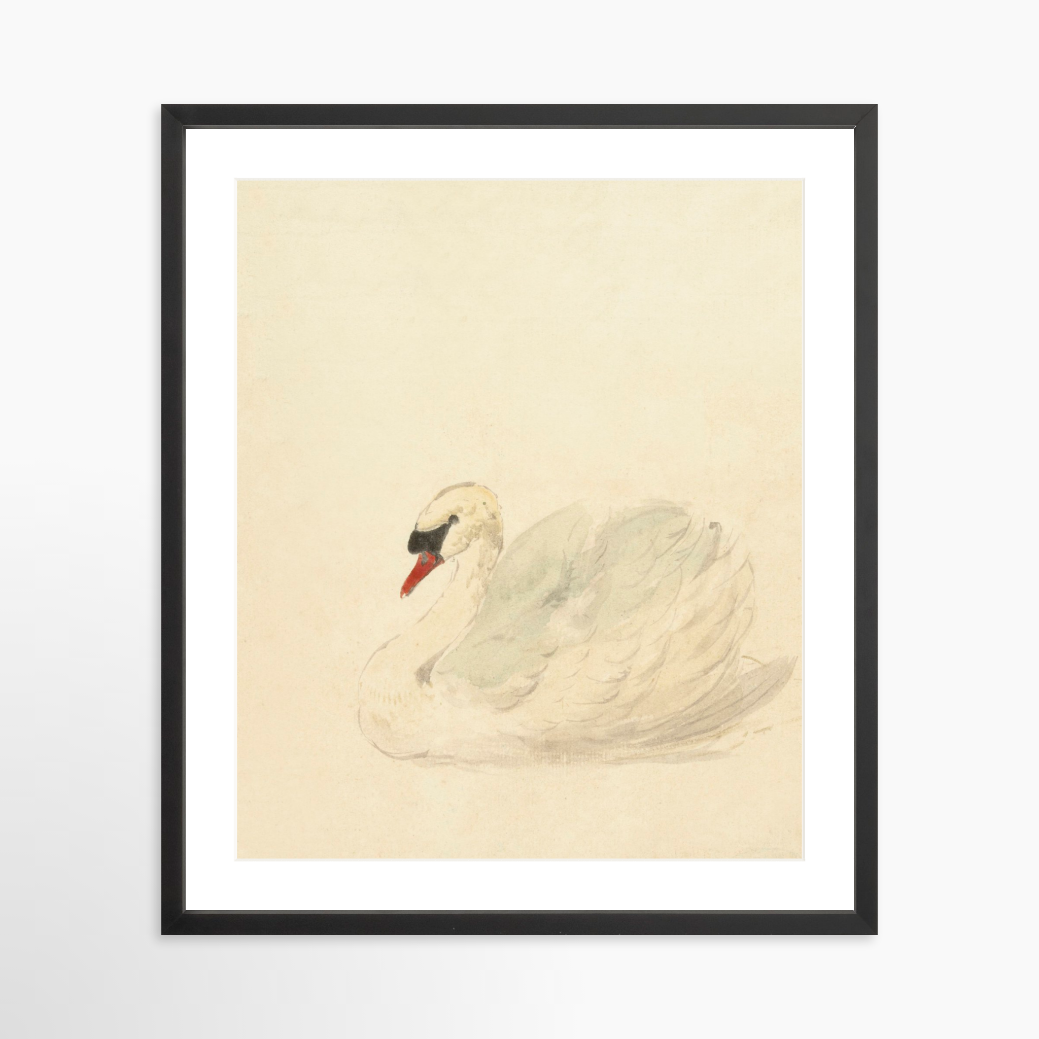 20x25 / Black Frame + White Mat