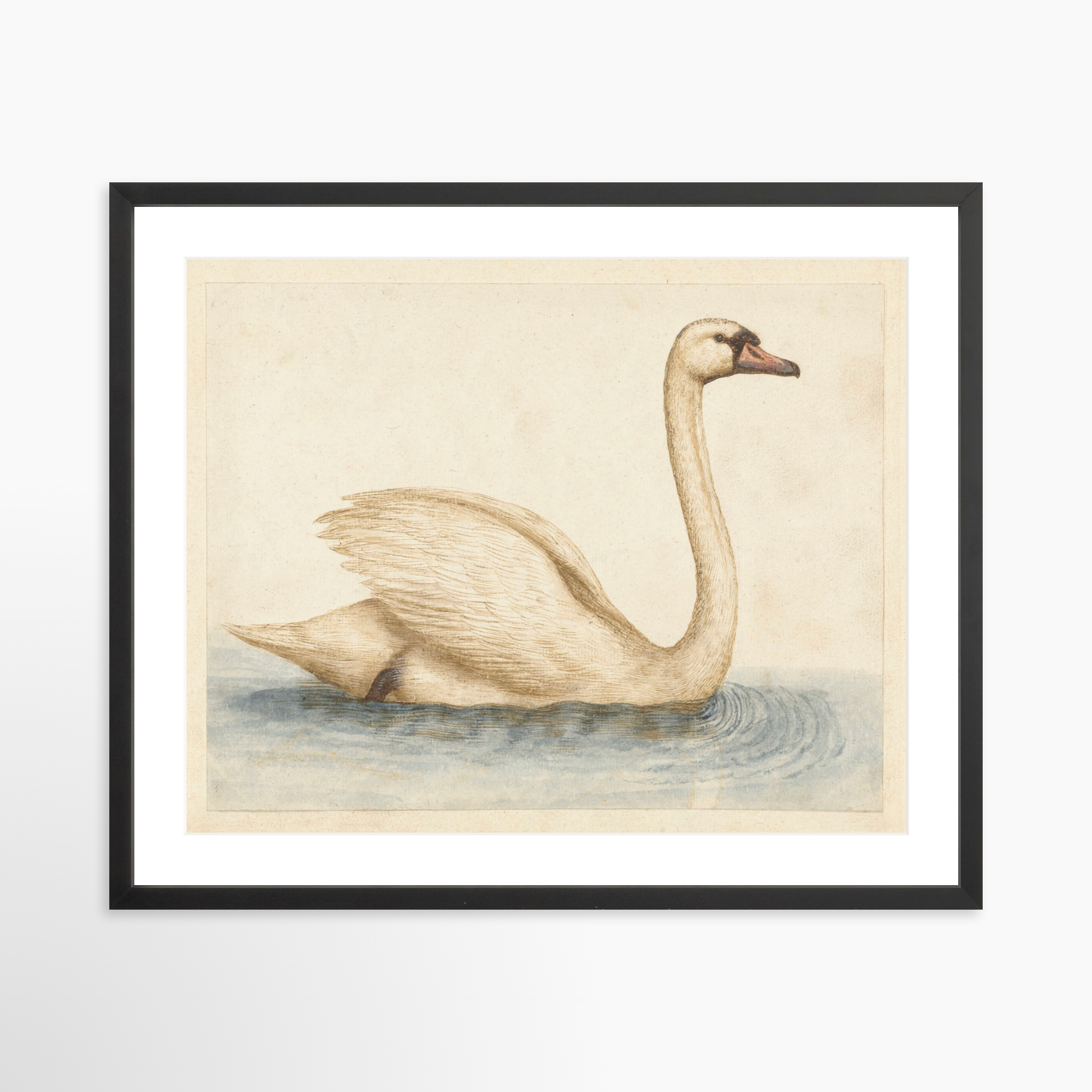 25x20 / Black Frame + White Mat