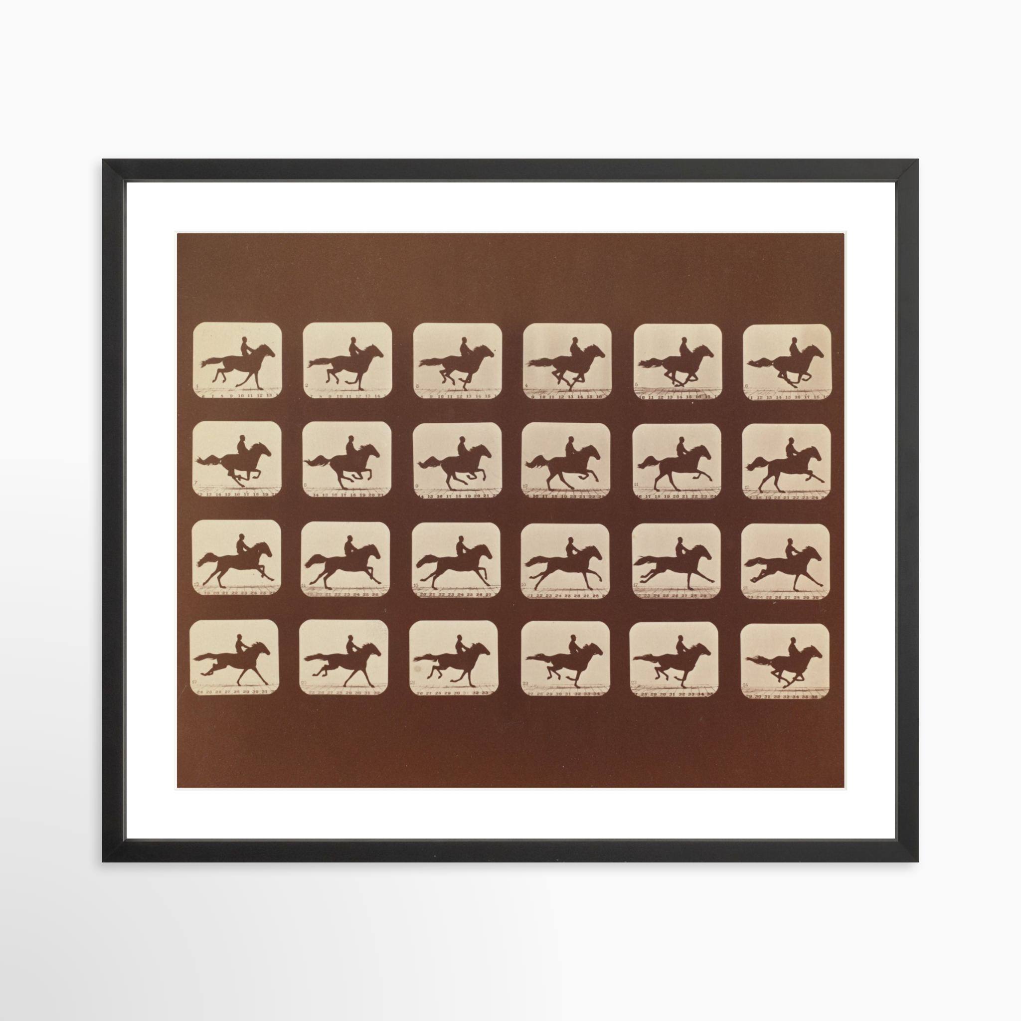 24x20 / Black Frame + White Mat