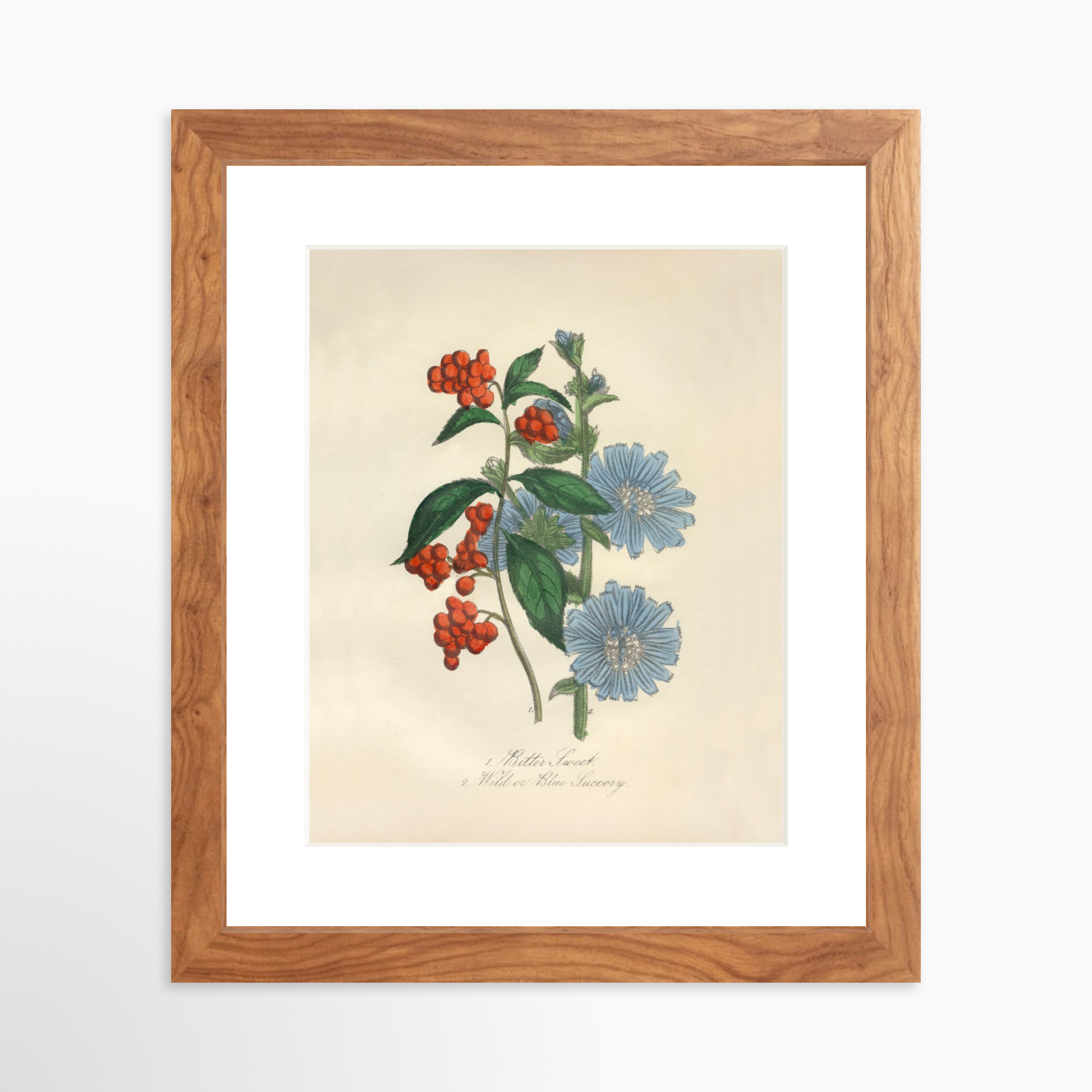 8x10 / Light Walnut Frame + White Mat