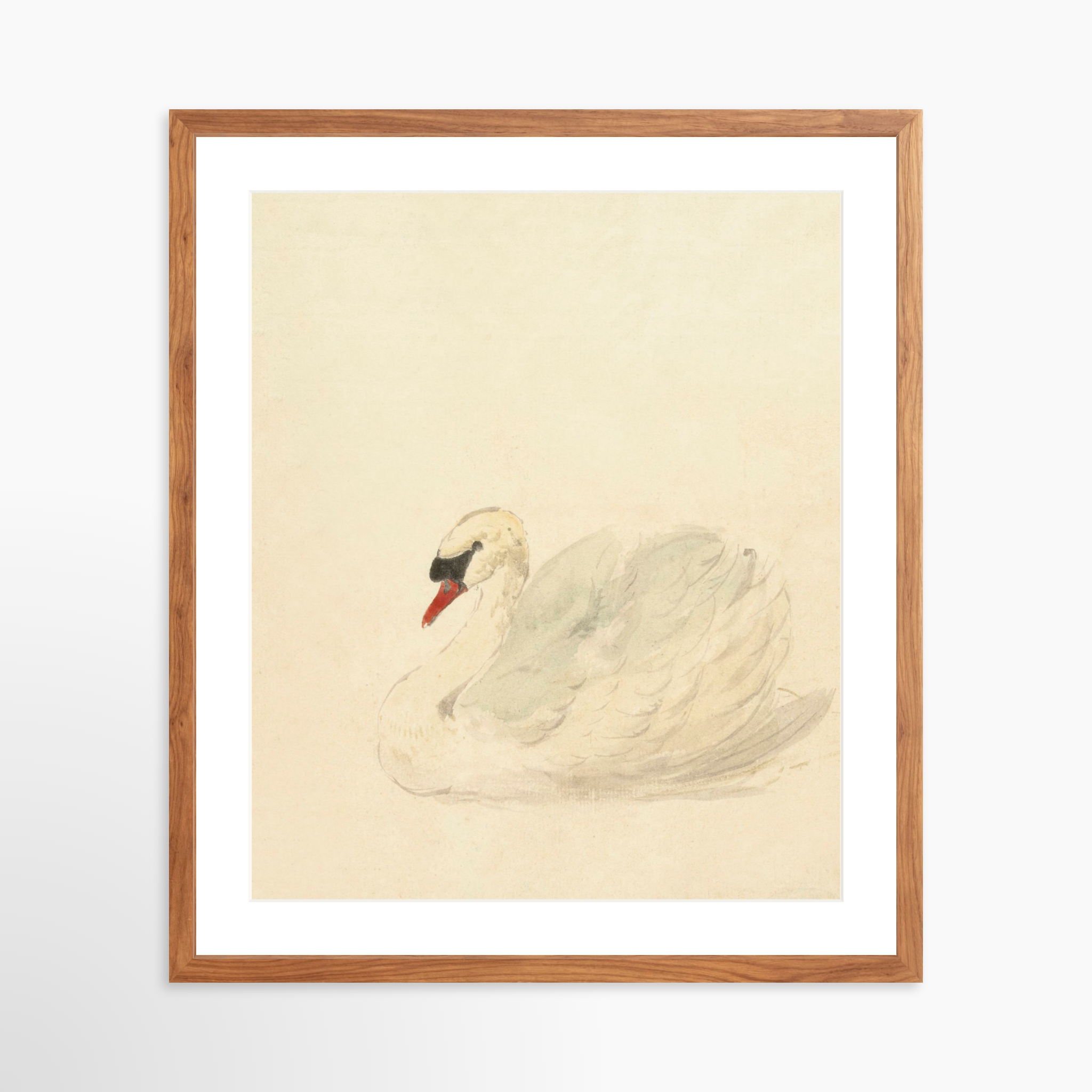 20x25 / Light Walnut Frame + White Mat