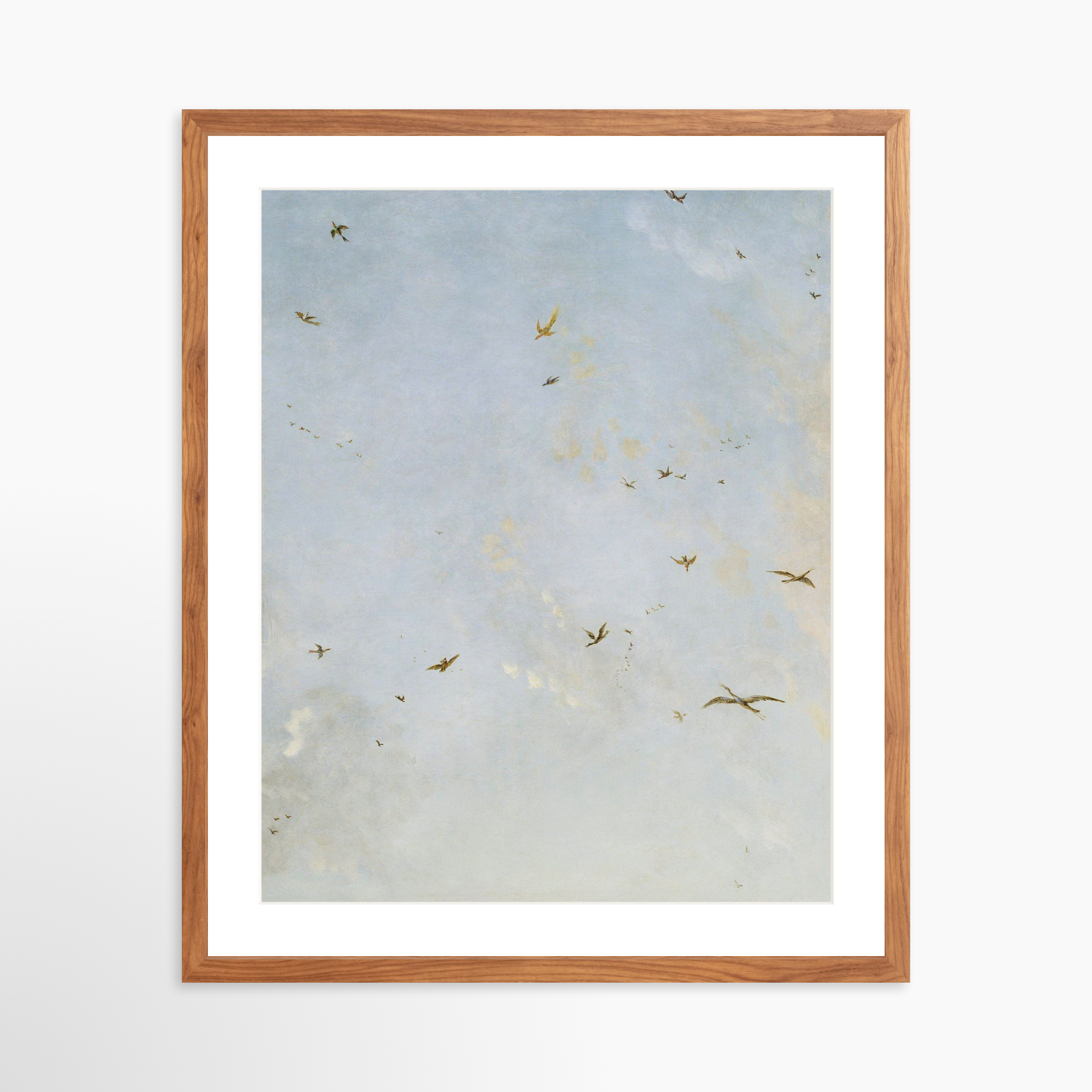 20x25 / Light Walnut Frame + White Mat