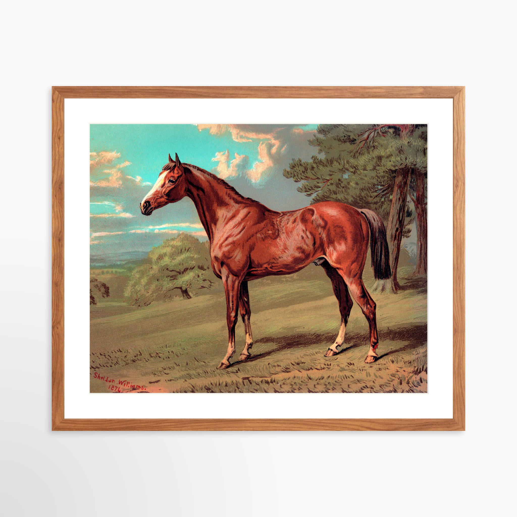 25x20 / Light Walnut Frame + White Mat