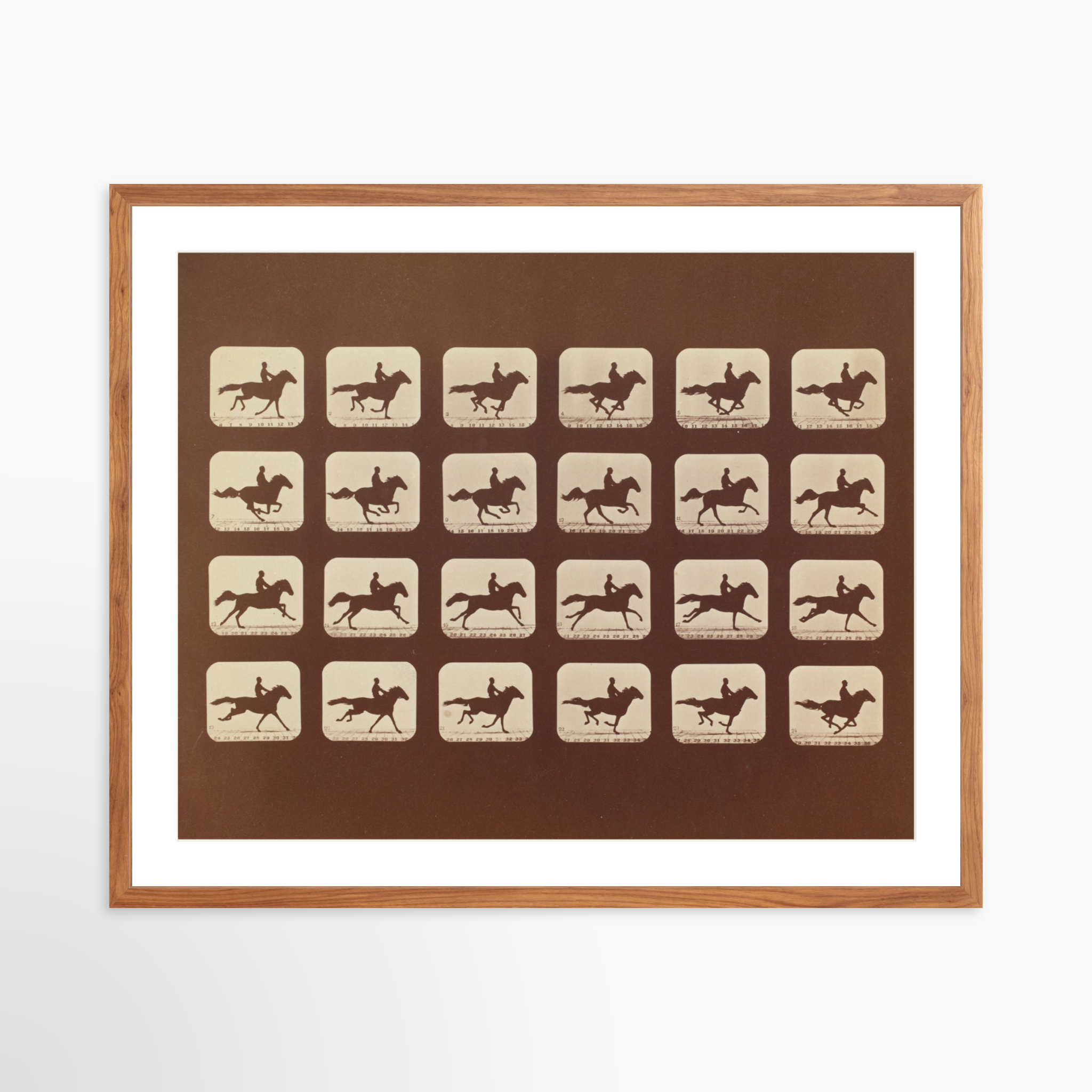 30x24 / Light Walnut Frame + White Mat