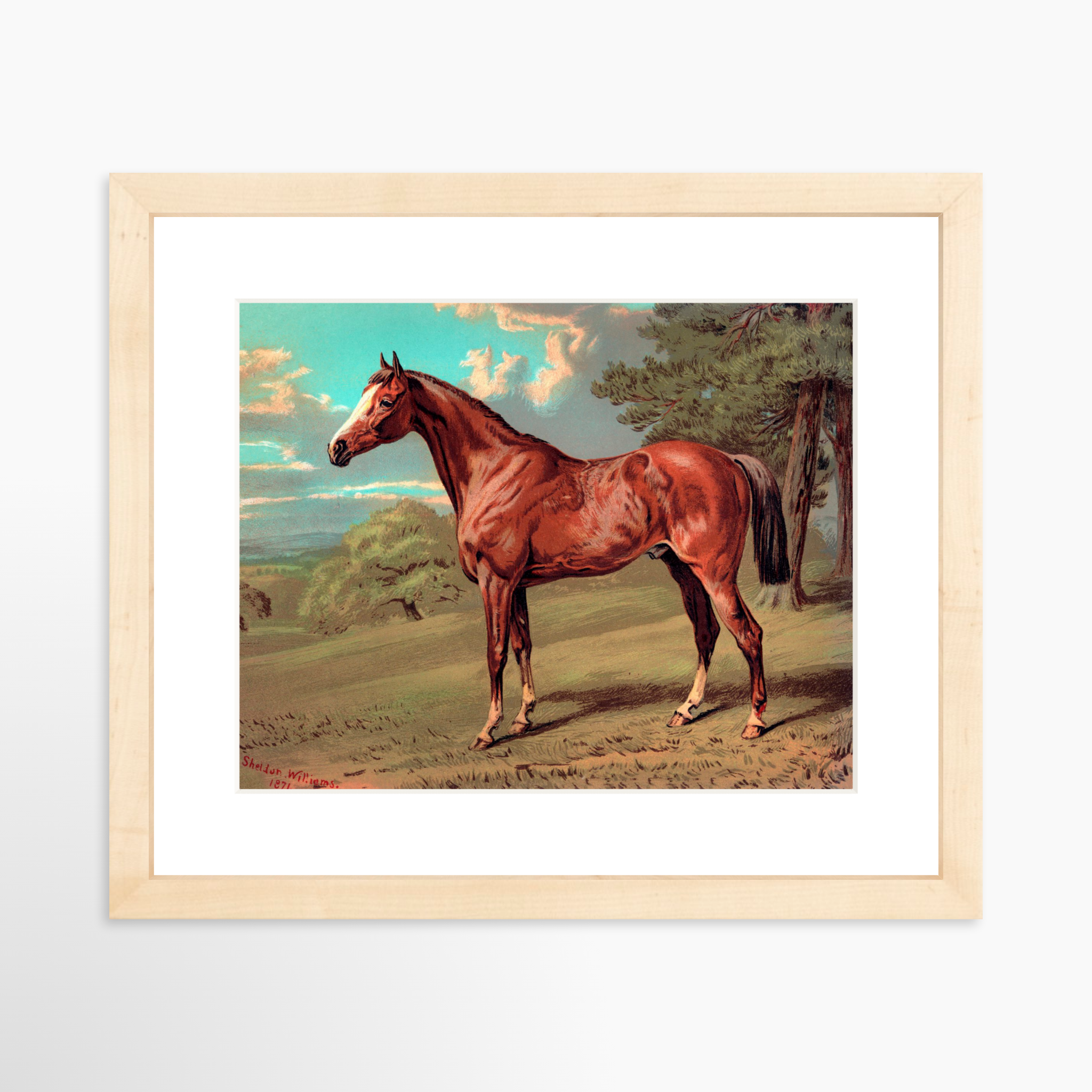 10x8 / Natural Frame + White Mat