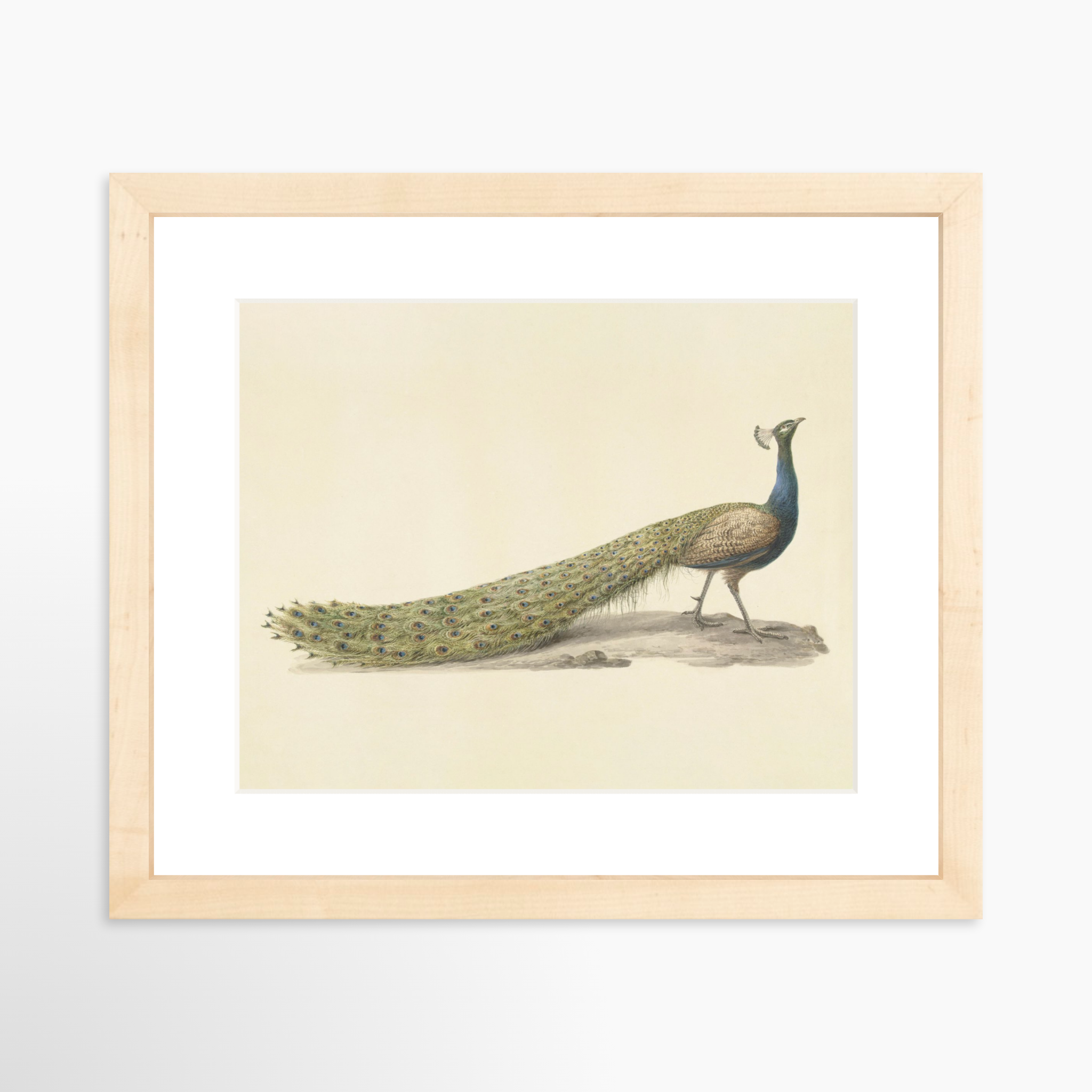 10x8 / Natural Frame + White Mat