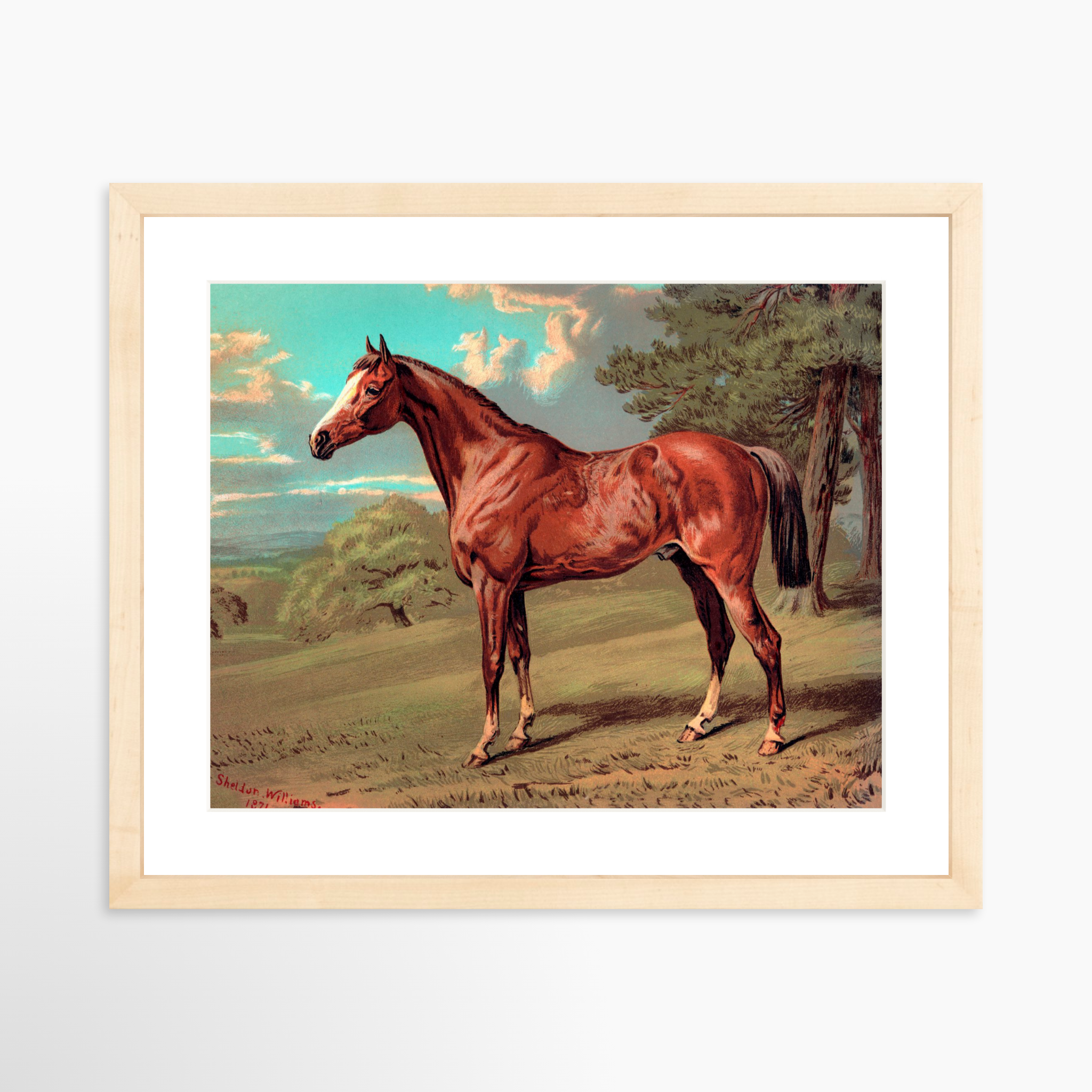 14x11 / Natural Frame + White Mat