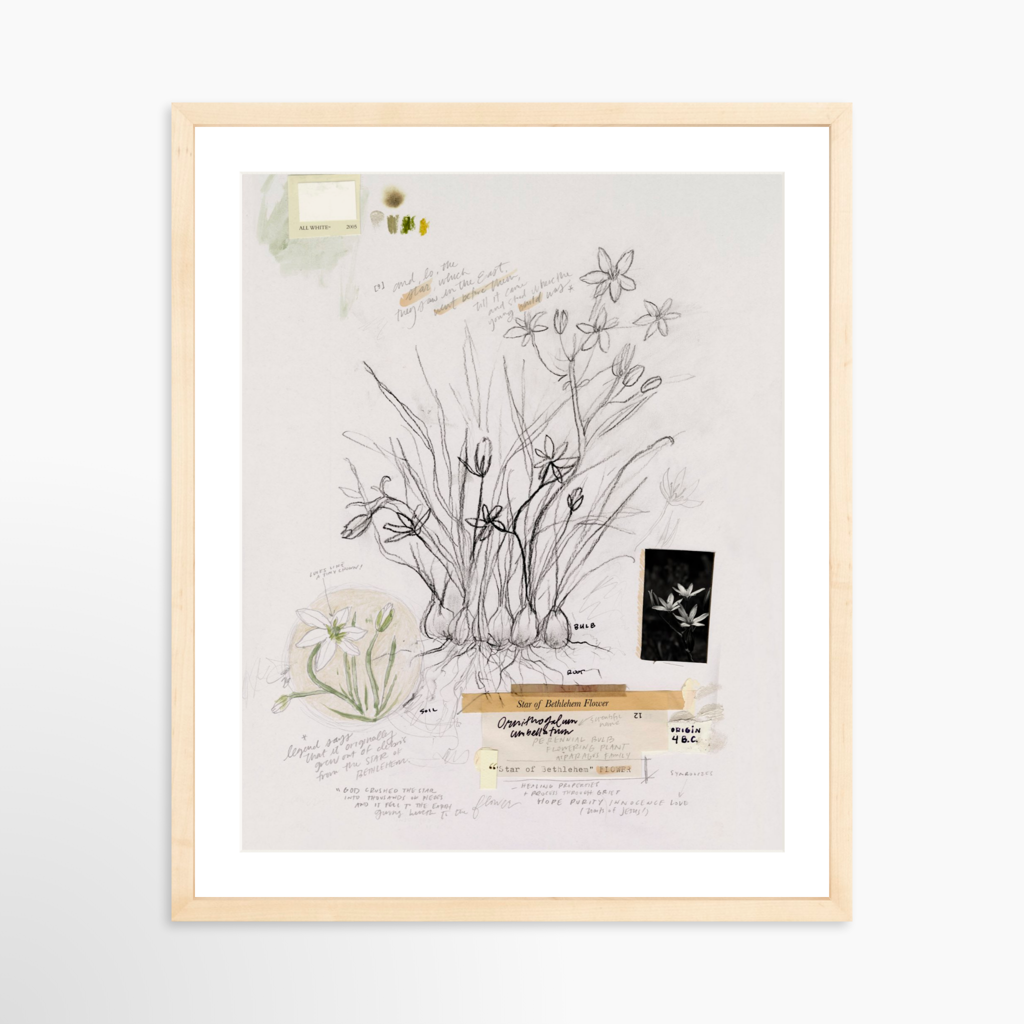 16x20 / Natural Frame + White Mat