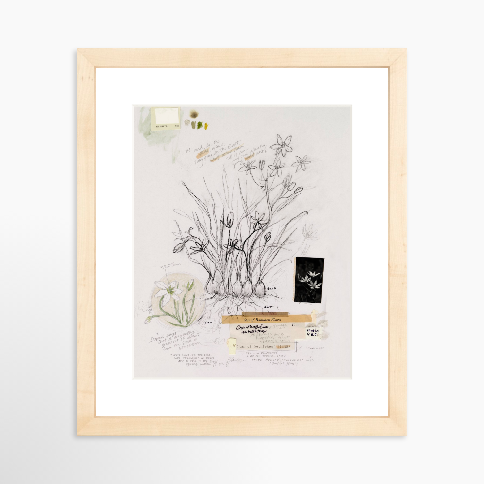 8x10 / Natural Frame + White Mat