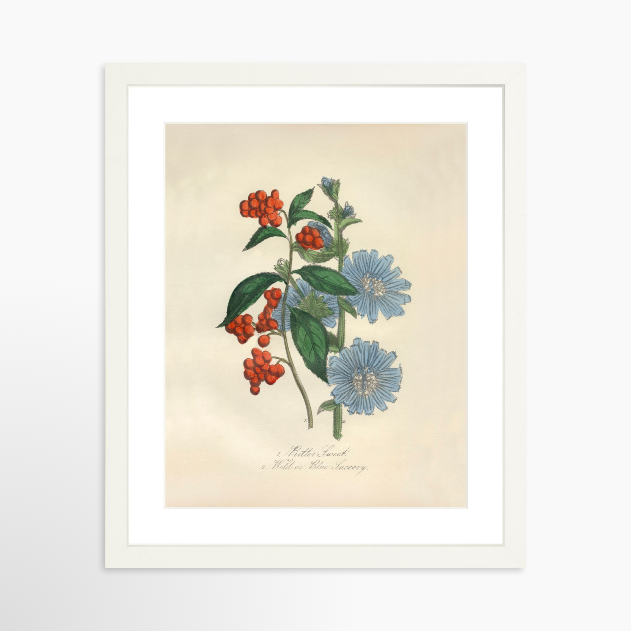 11x14 / White Frame + White Mat