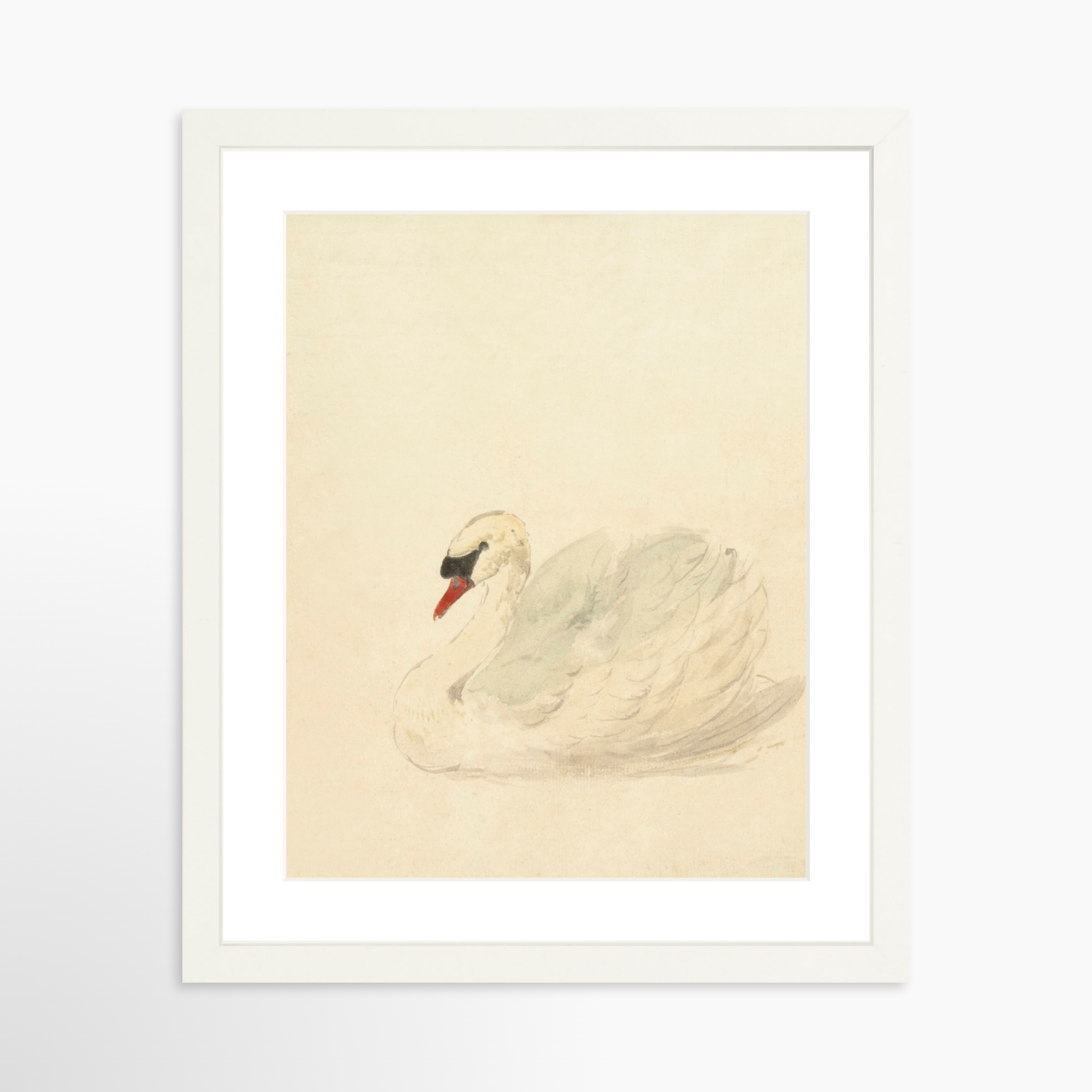 11x14 / White Frame + White Mat