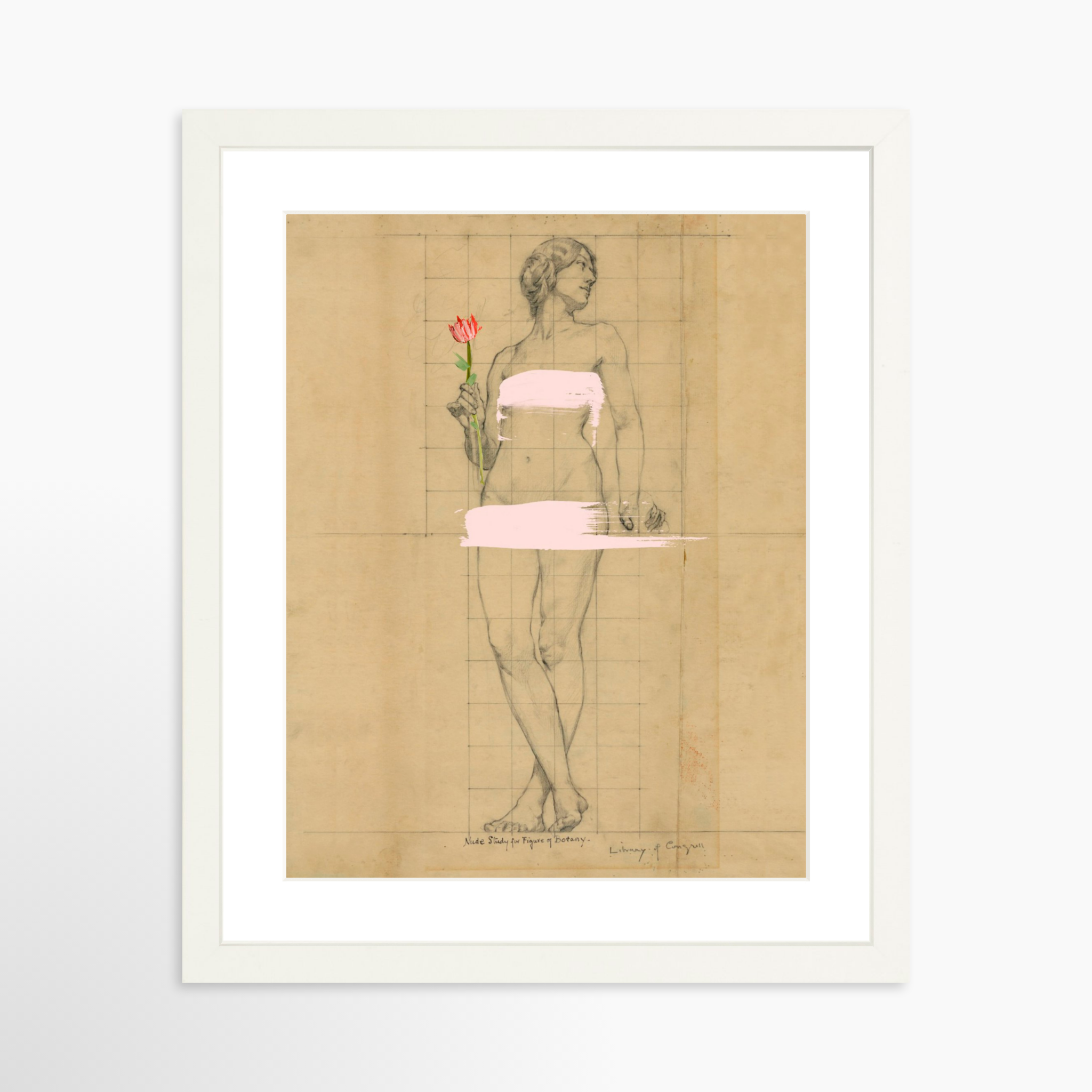 11x14 / White Frame + White Mat