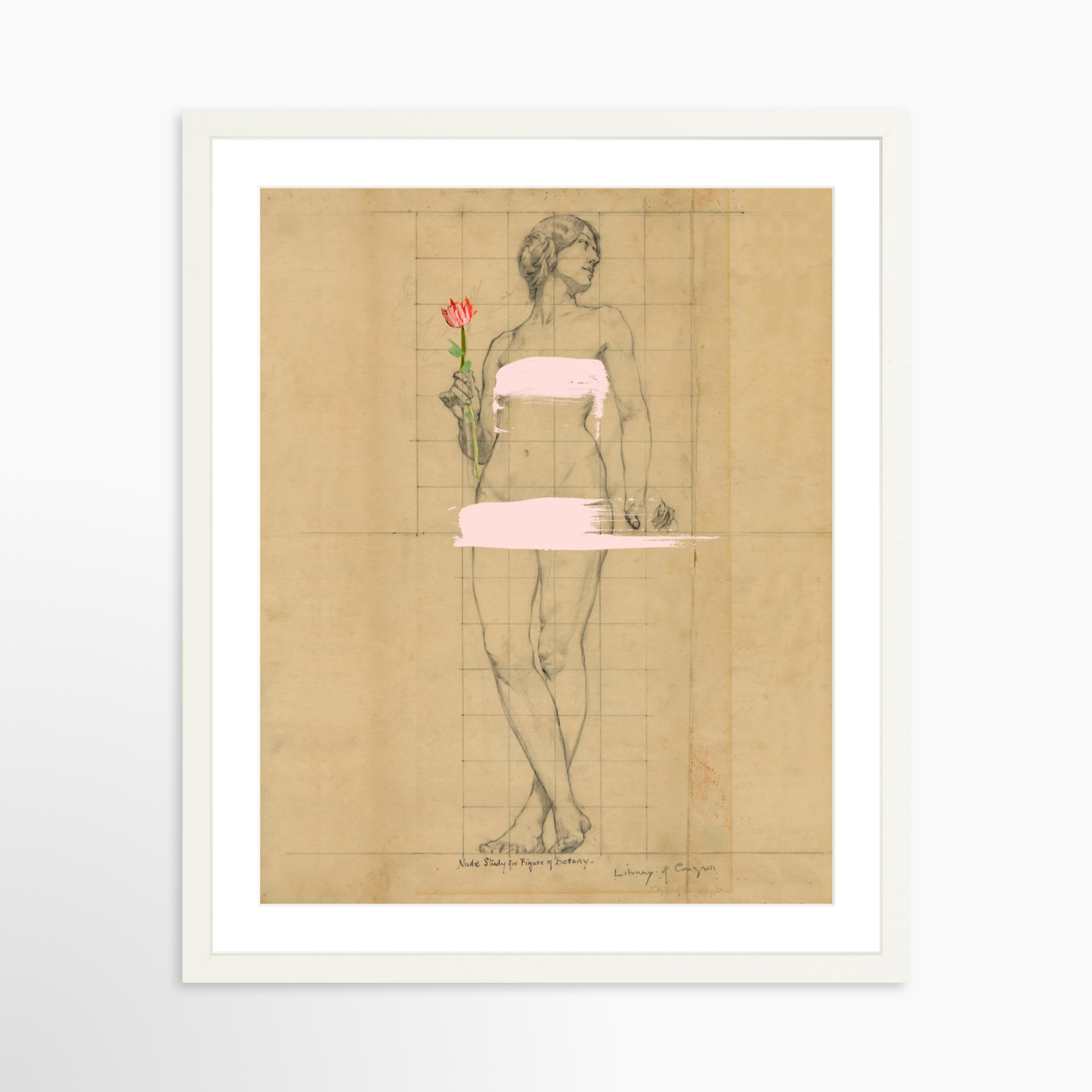 16x20 / White Frame + White Mat