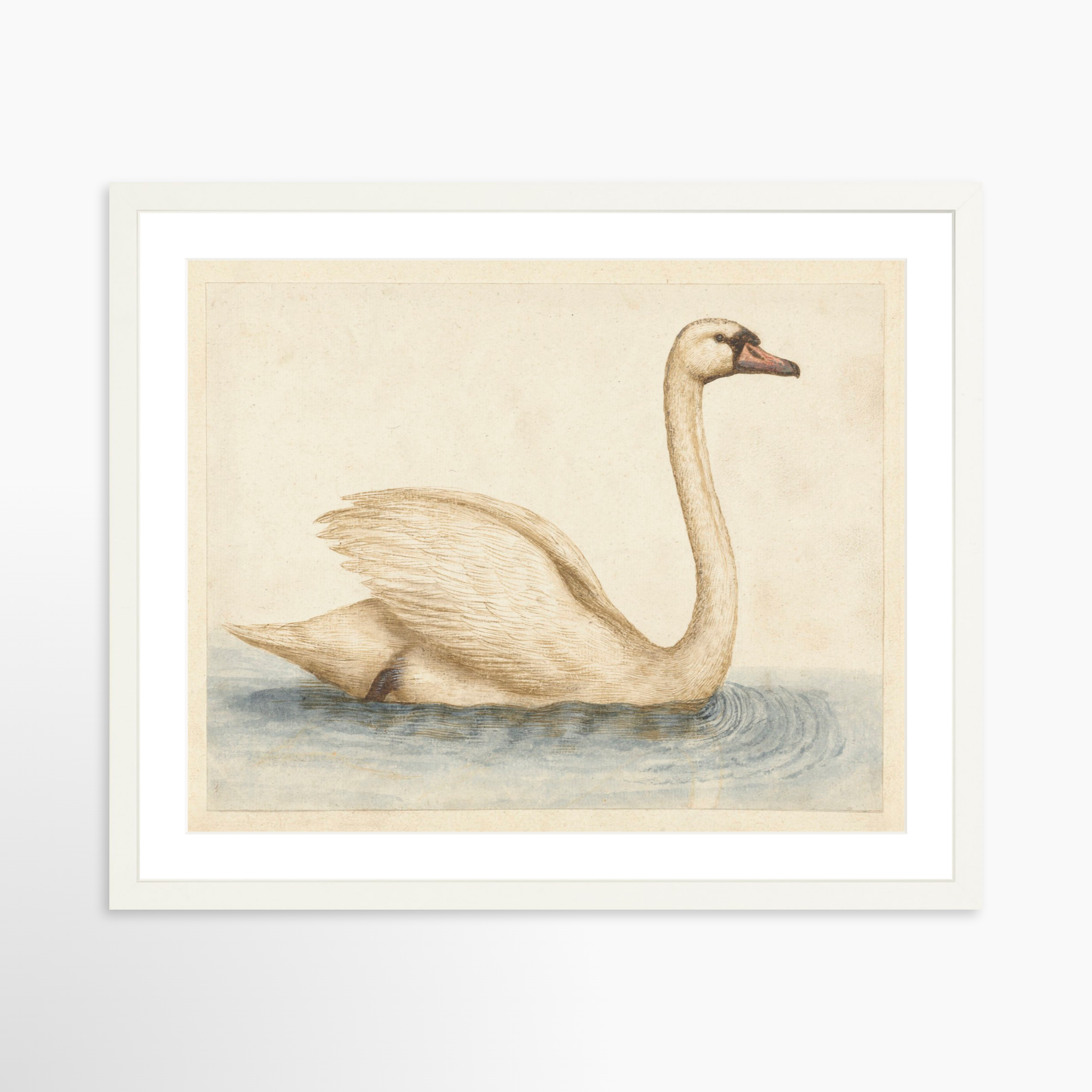 20x16 / White Frame + White Mat