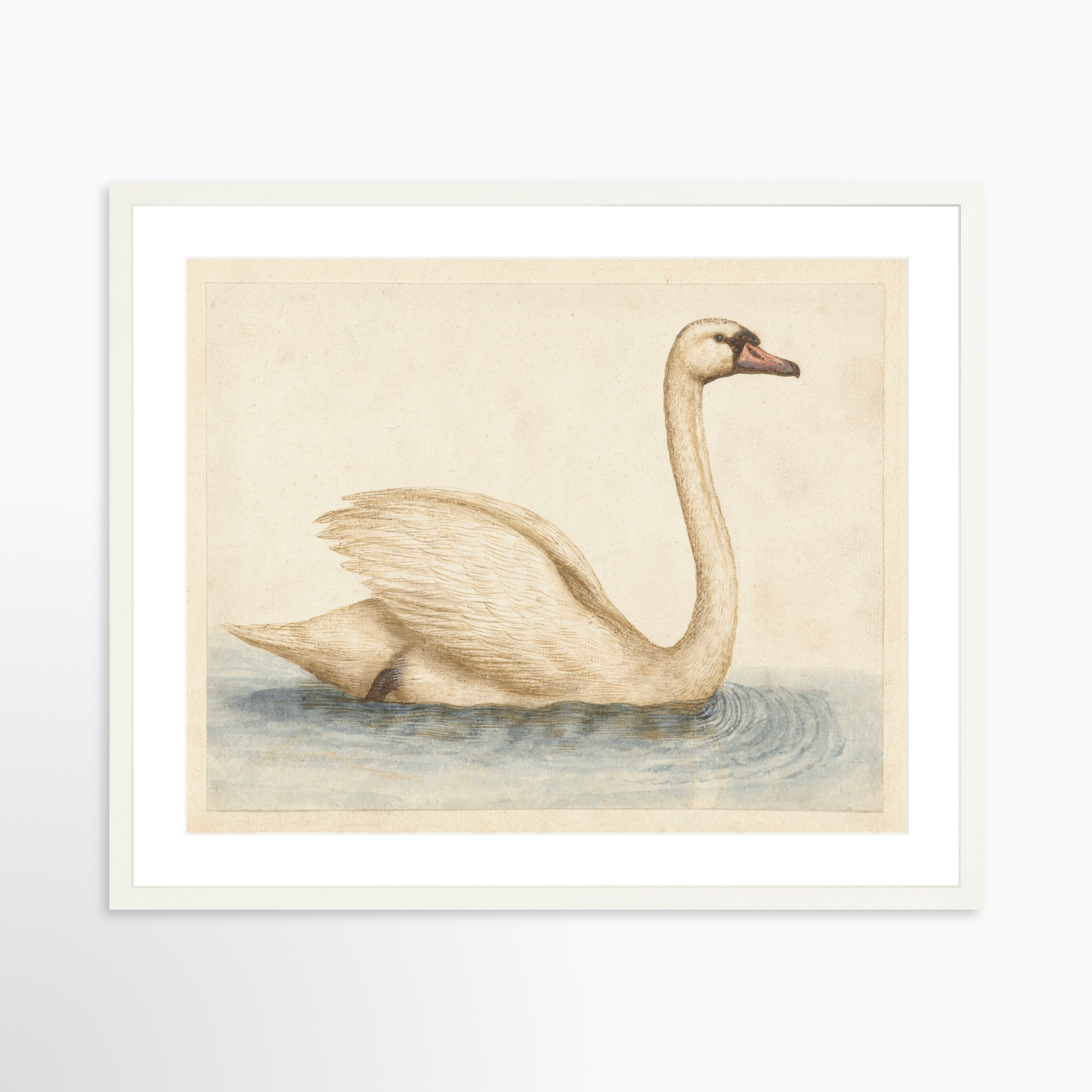 25x20 / White Frame + White Mat