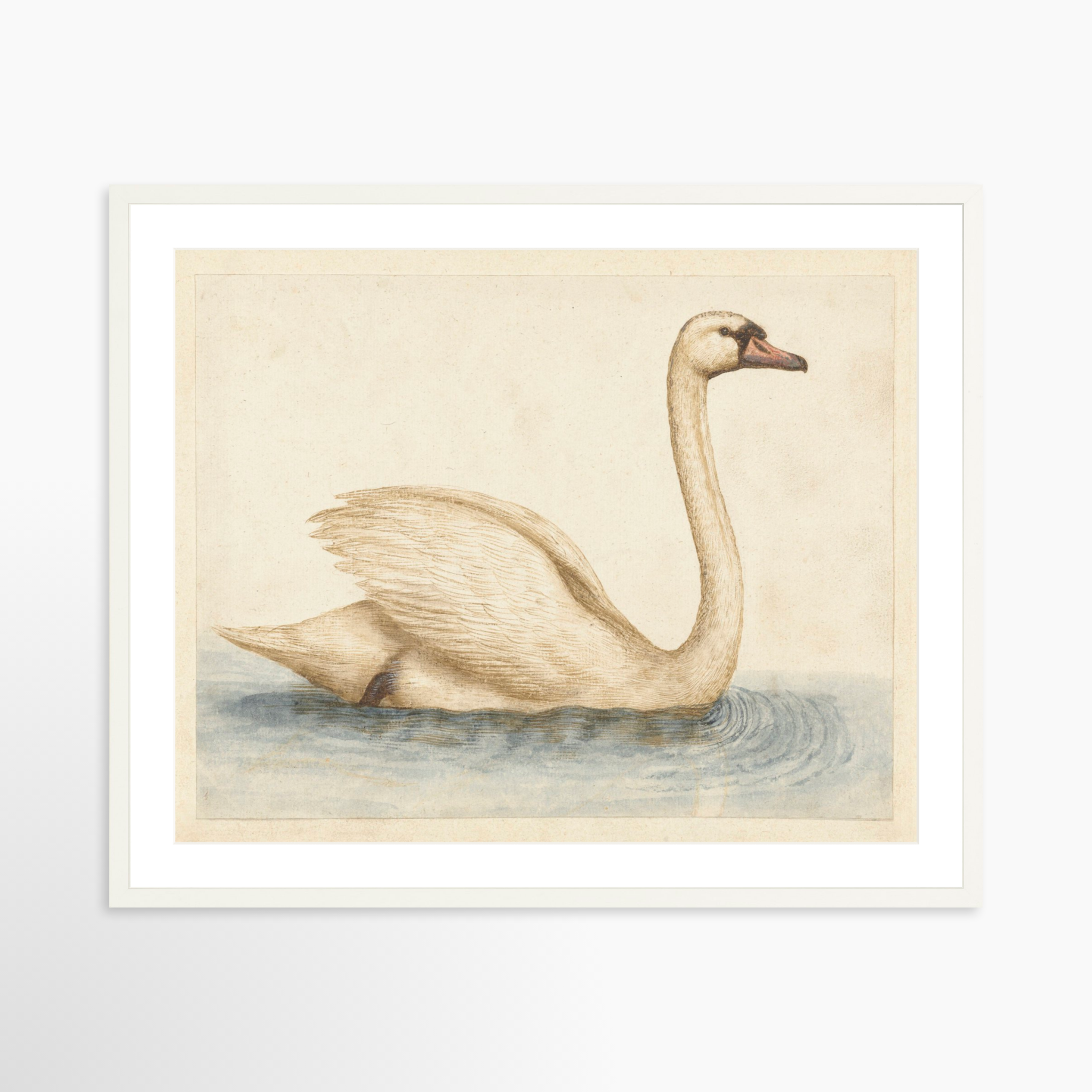 30x24 / White Frame + White Mat