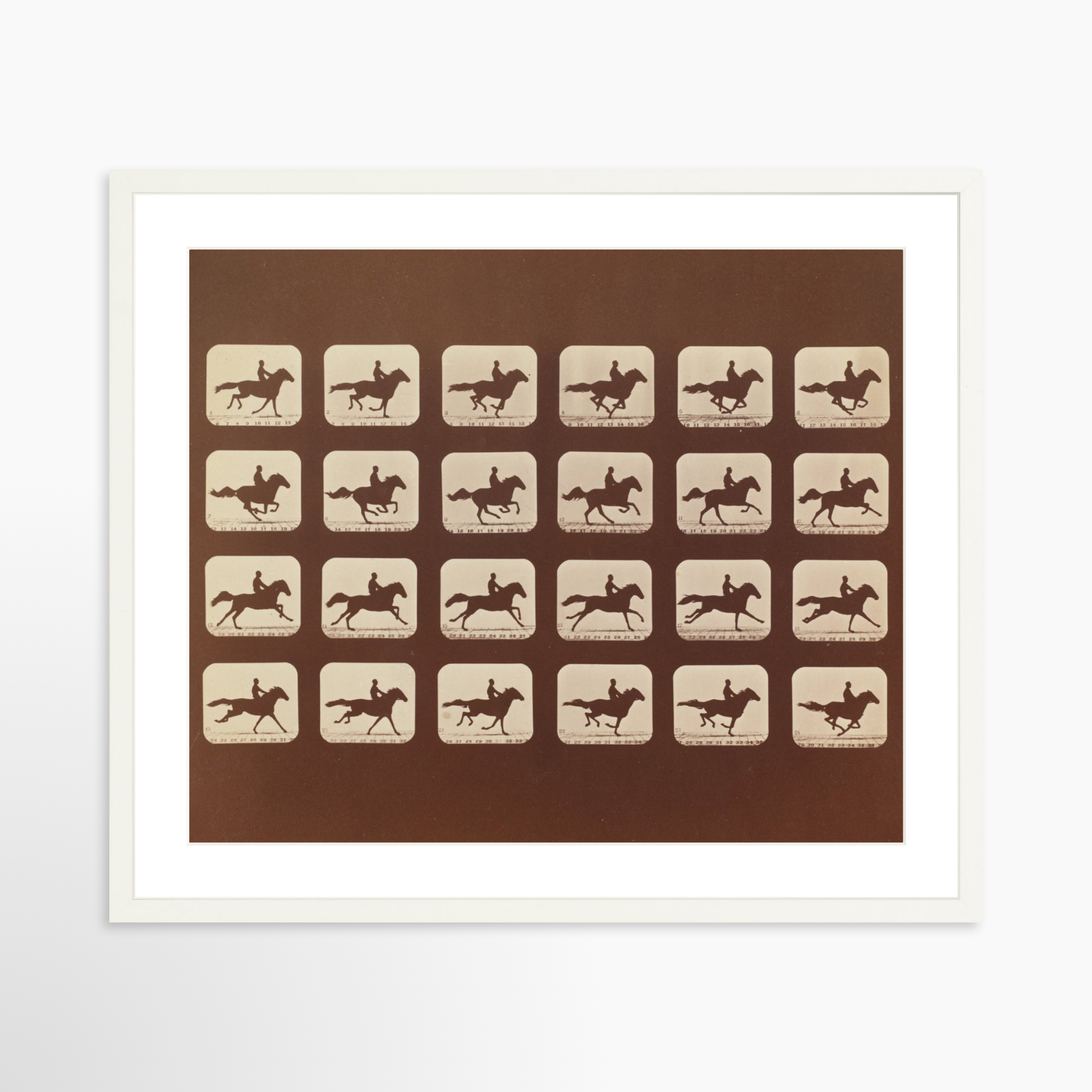 24x20 / White Frame + White Mat