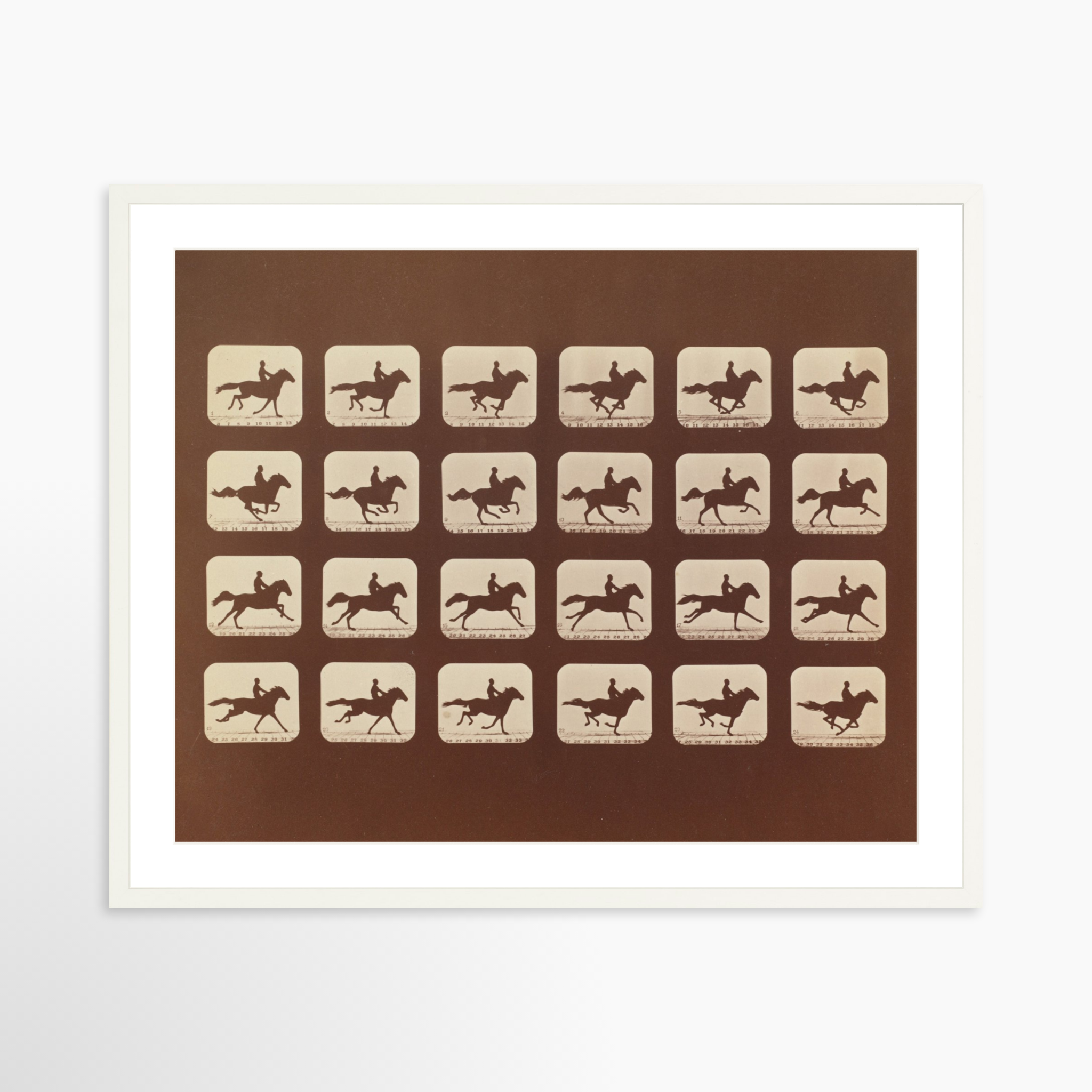 30x24 / White Frame + White Mat