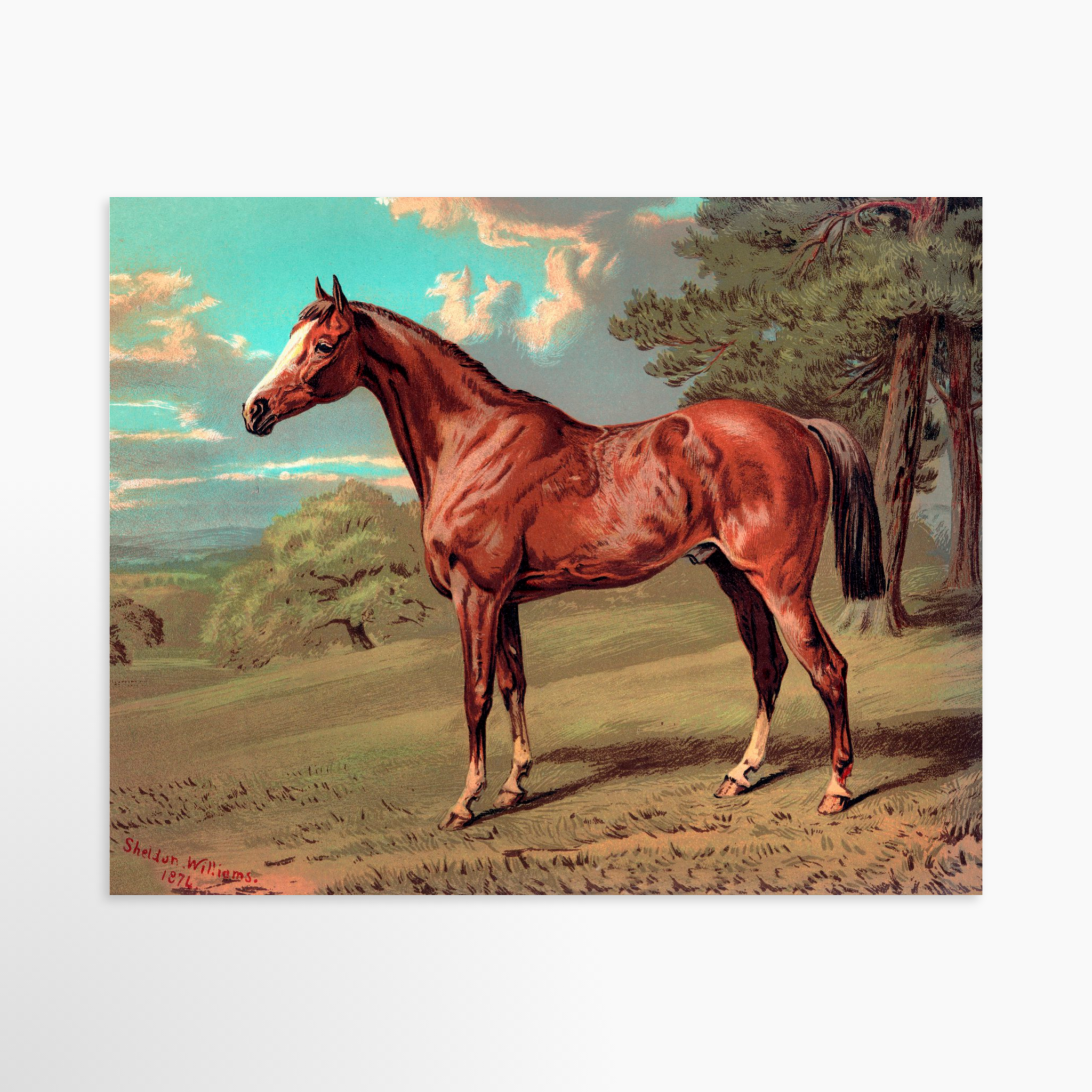 10x8 / Luxe Art Print (Unframed)