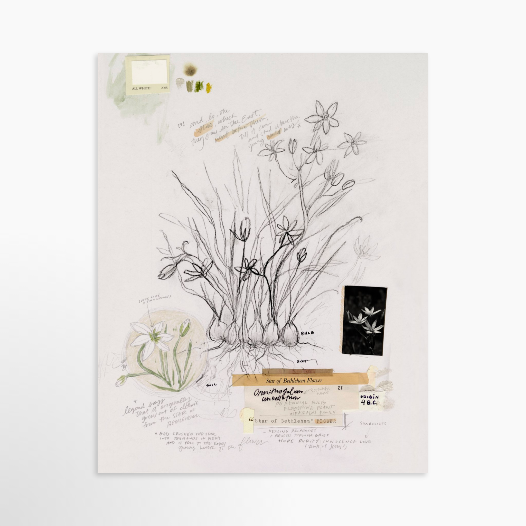 11x14 / Luxe Art Print (Unframed)