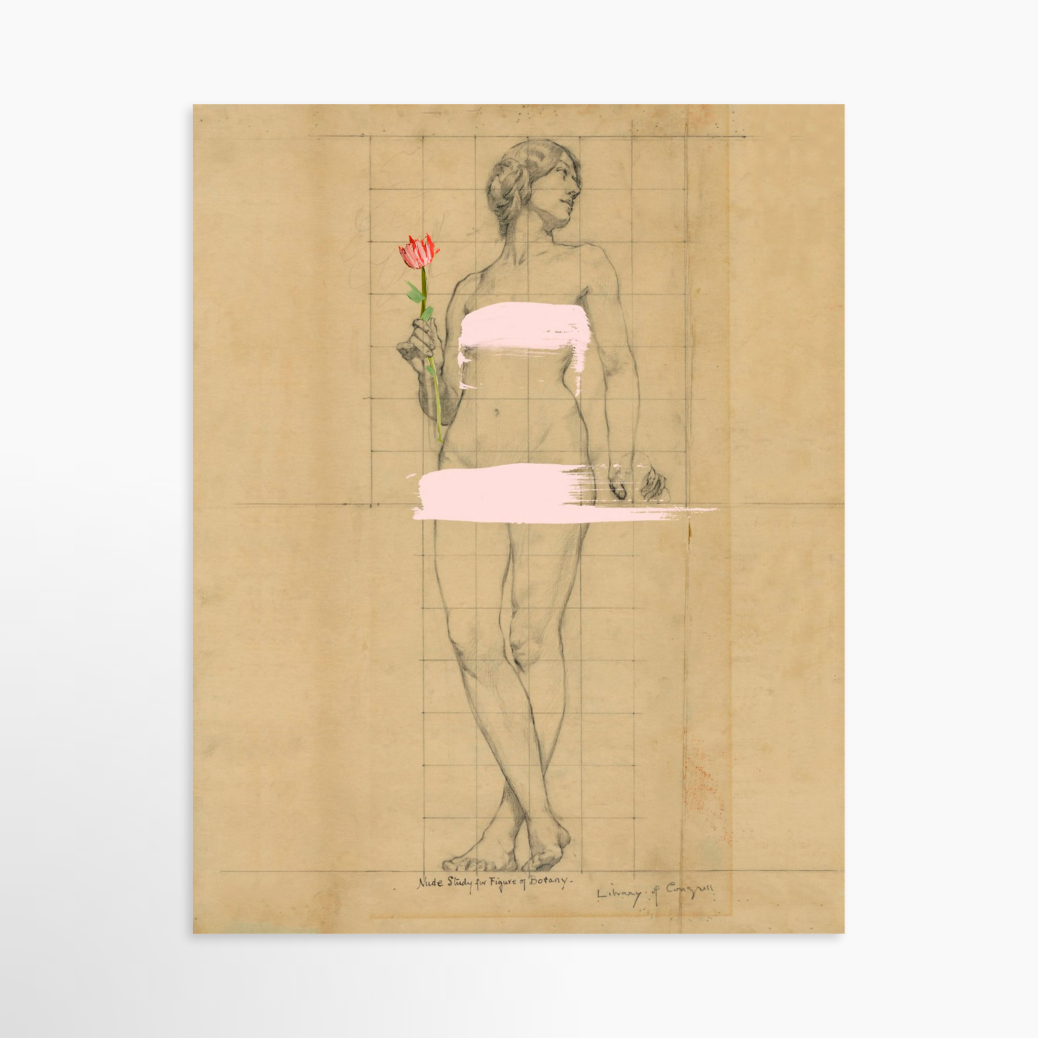 11x14 / Luxe Art Print (Unframed)