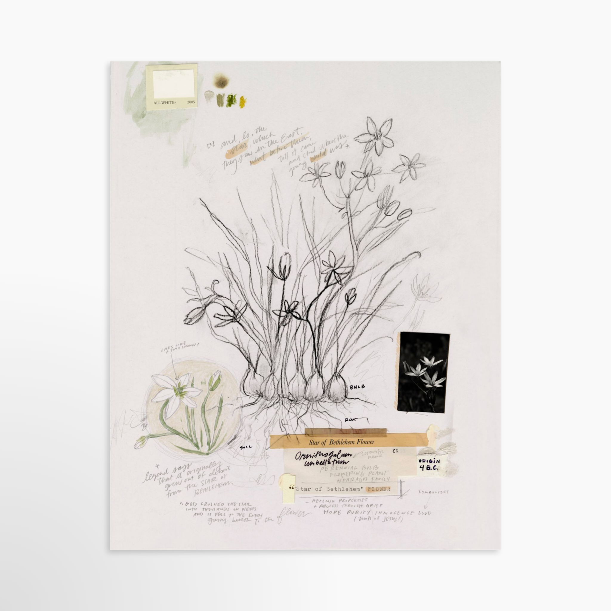 24x30 / Luxe Art Print (Unframed)