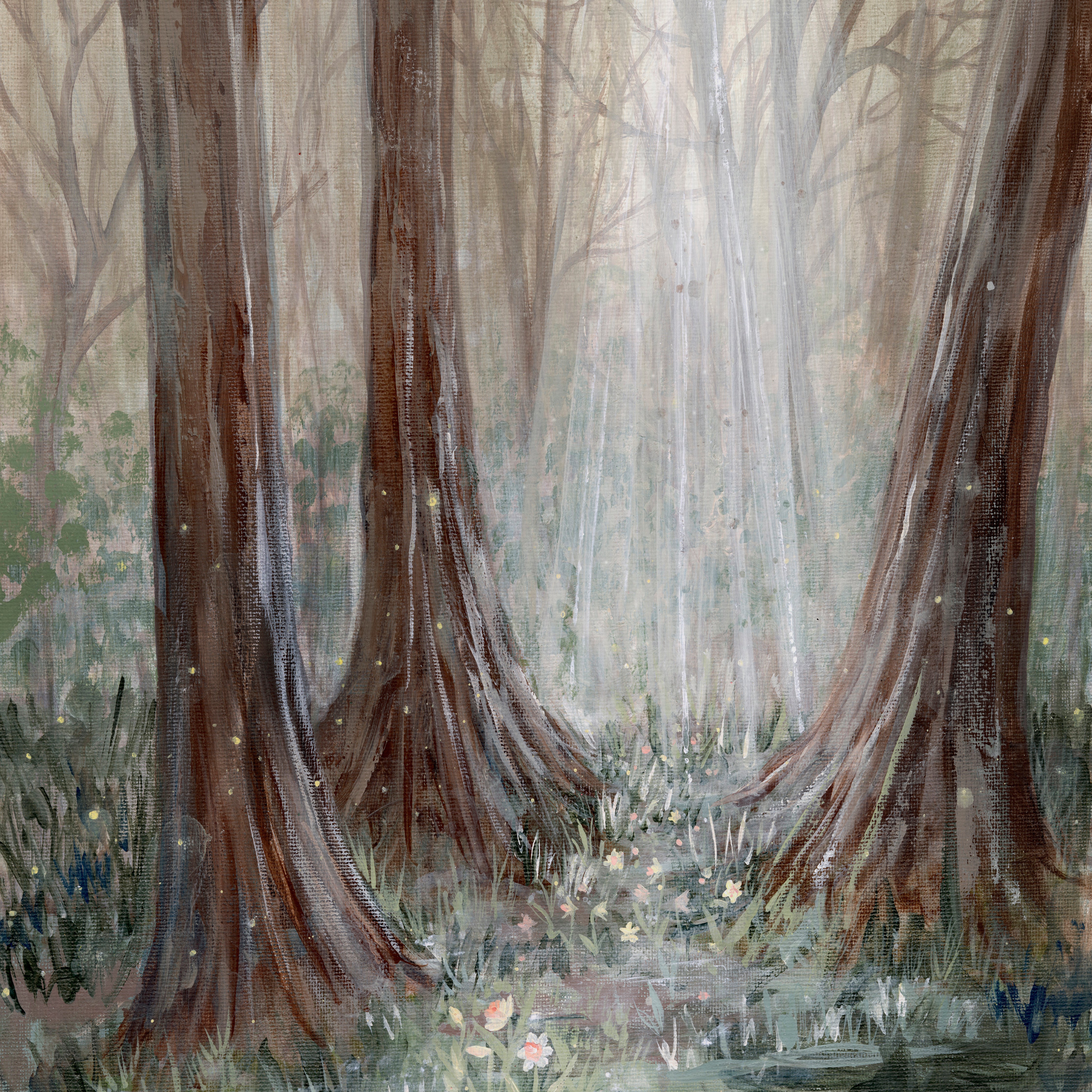 A Light Through the Trees | Canvas