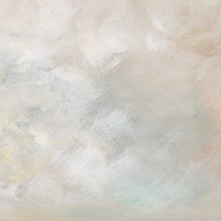 Champagne Waters Canvas Wall Art . Rectangle