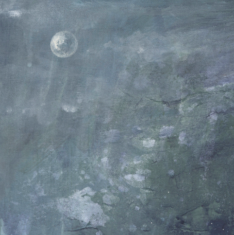Moonlit Loons Canvas Wall Art