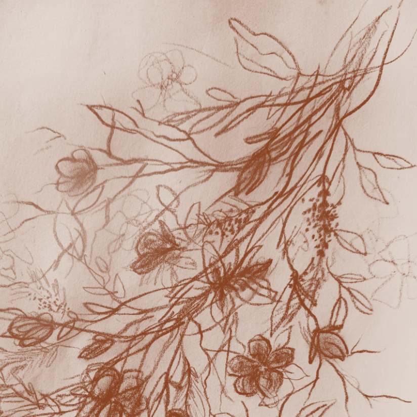 Sepia Wildflower Canvas Wall Art