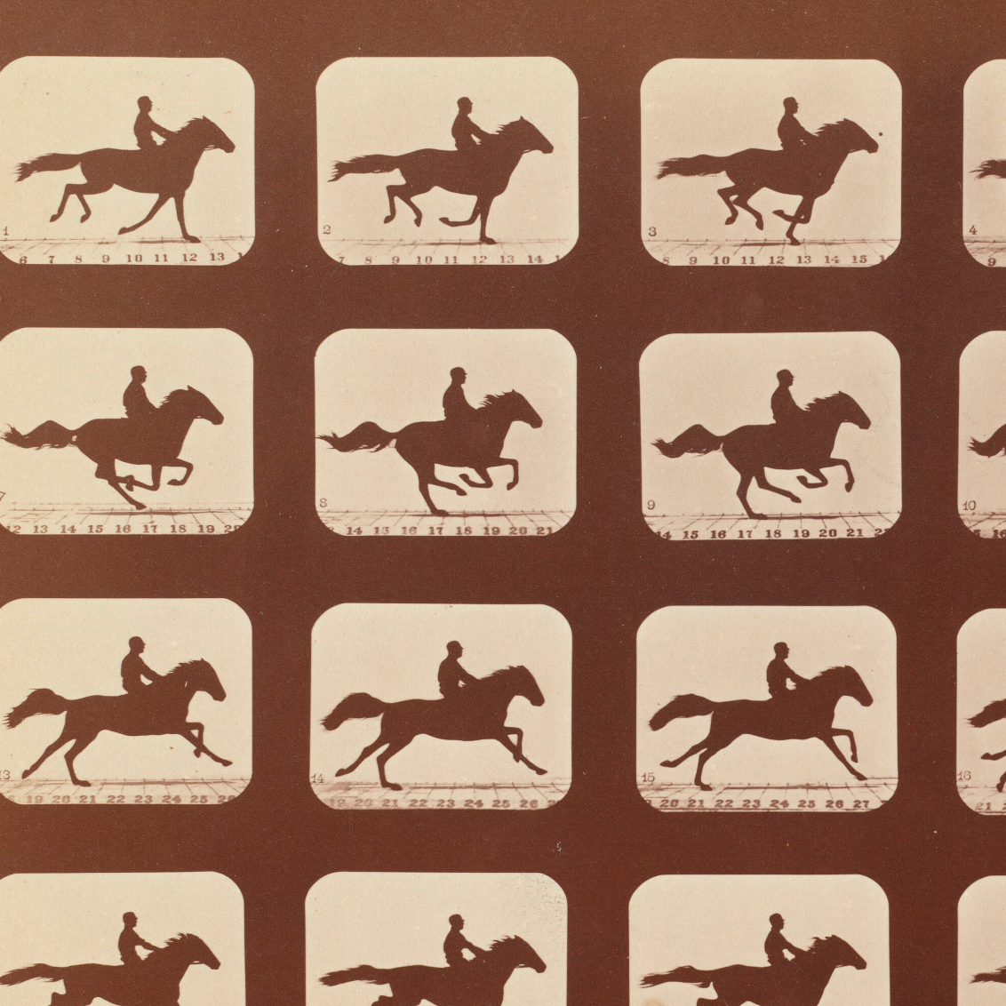 Horse On Film Canvas Wall Art. Rectangle