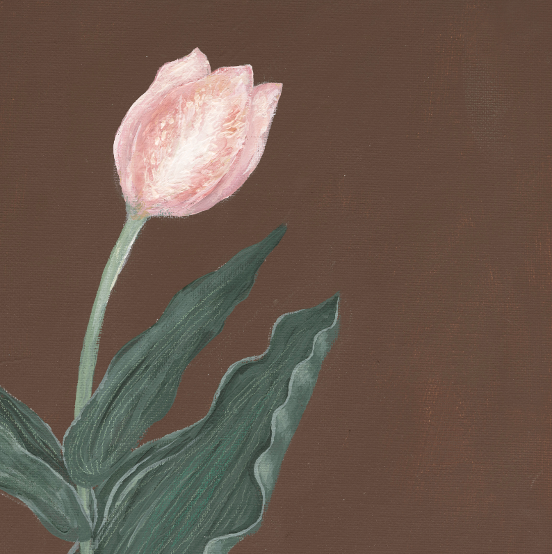 Pink Tulip Botanical Canvas Wall Art