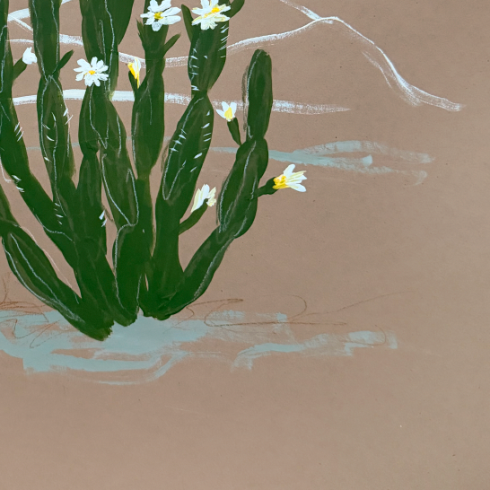 Blooming Cactus Canvas Wall Art