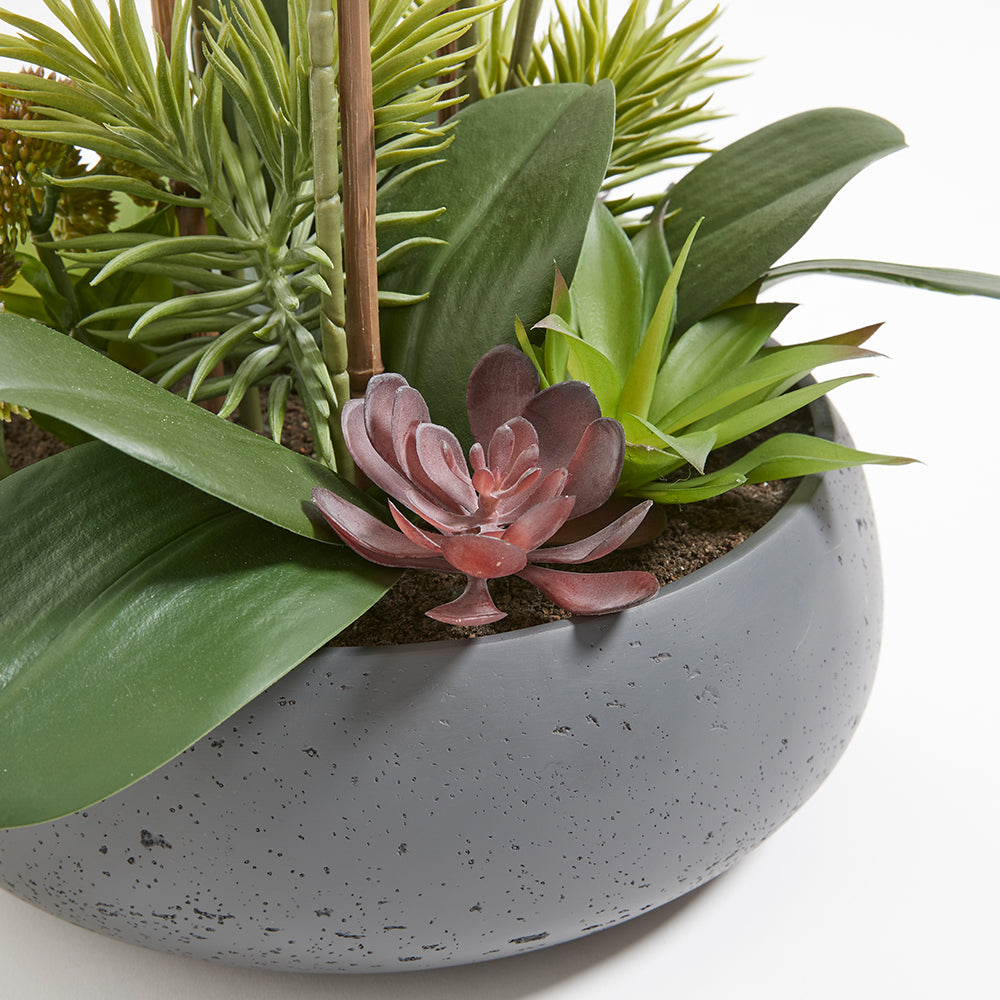 Artificial Orchid with Succulents