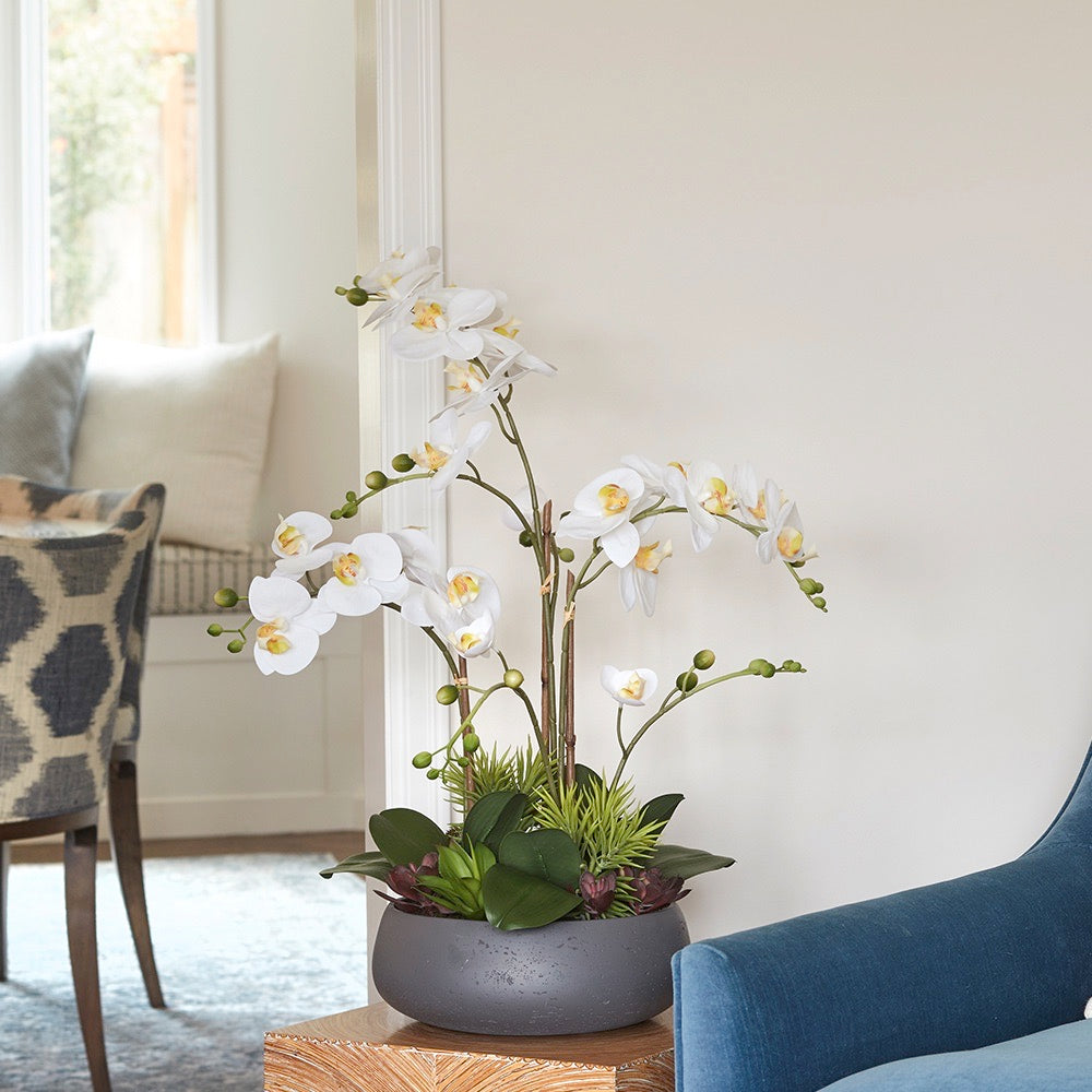 Artificial Orchid with Succulents
