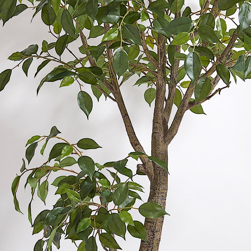 Artificial Ficus Tree with Artisan Planter