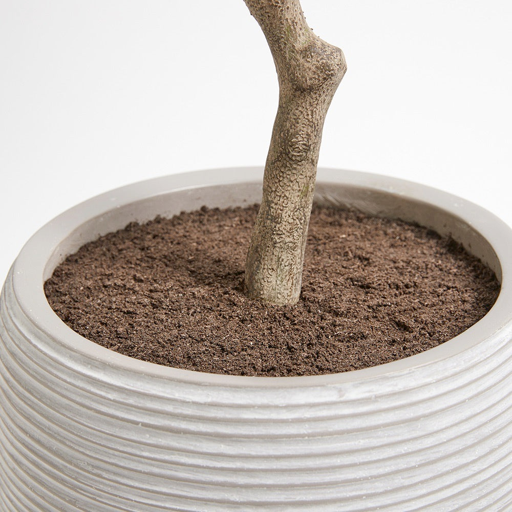 Artificial Olive Topiary Tree with Mediterranean Pot