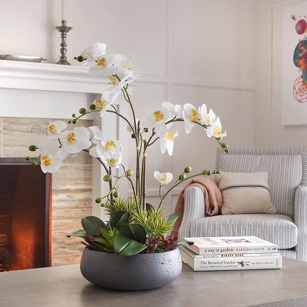 CG Hunter Artificial Orchid with Succulents in White