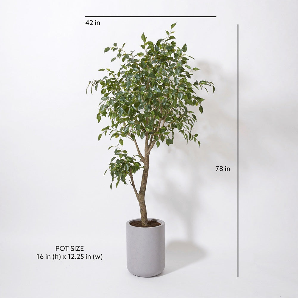 Artificial Ficus Tree with Artisan Planter