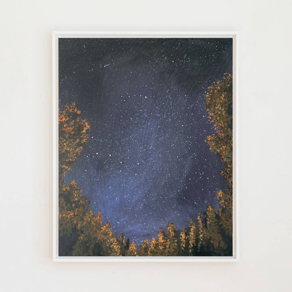 True North Canvas Wall Art