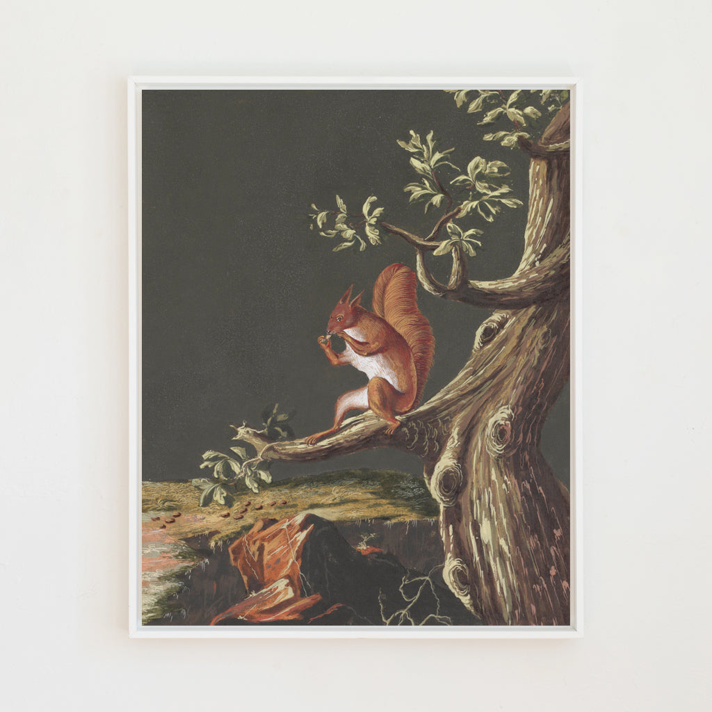 Vintage Squirrel Canvas Wall Art